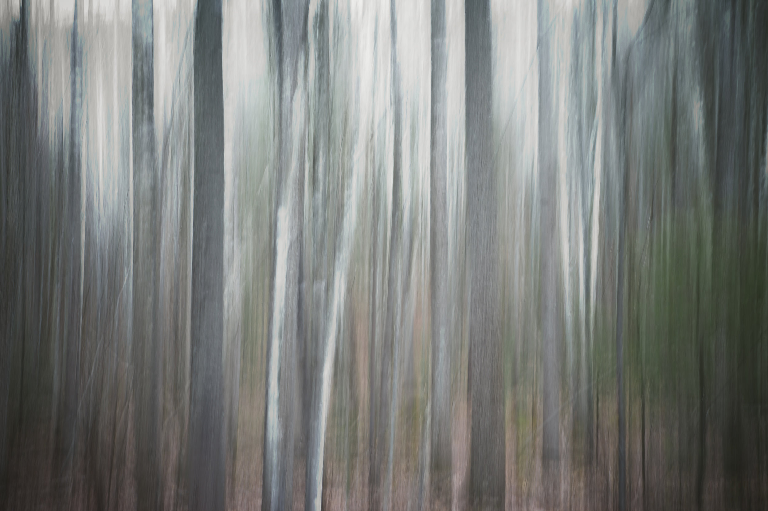 D5692E61-3A9D-473B-89CB-1ABCF74FE301.jpeg