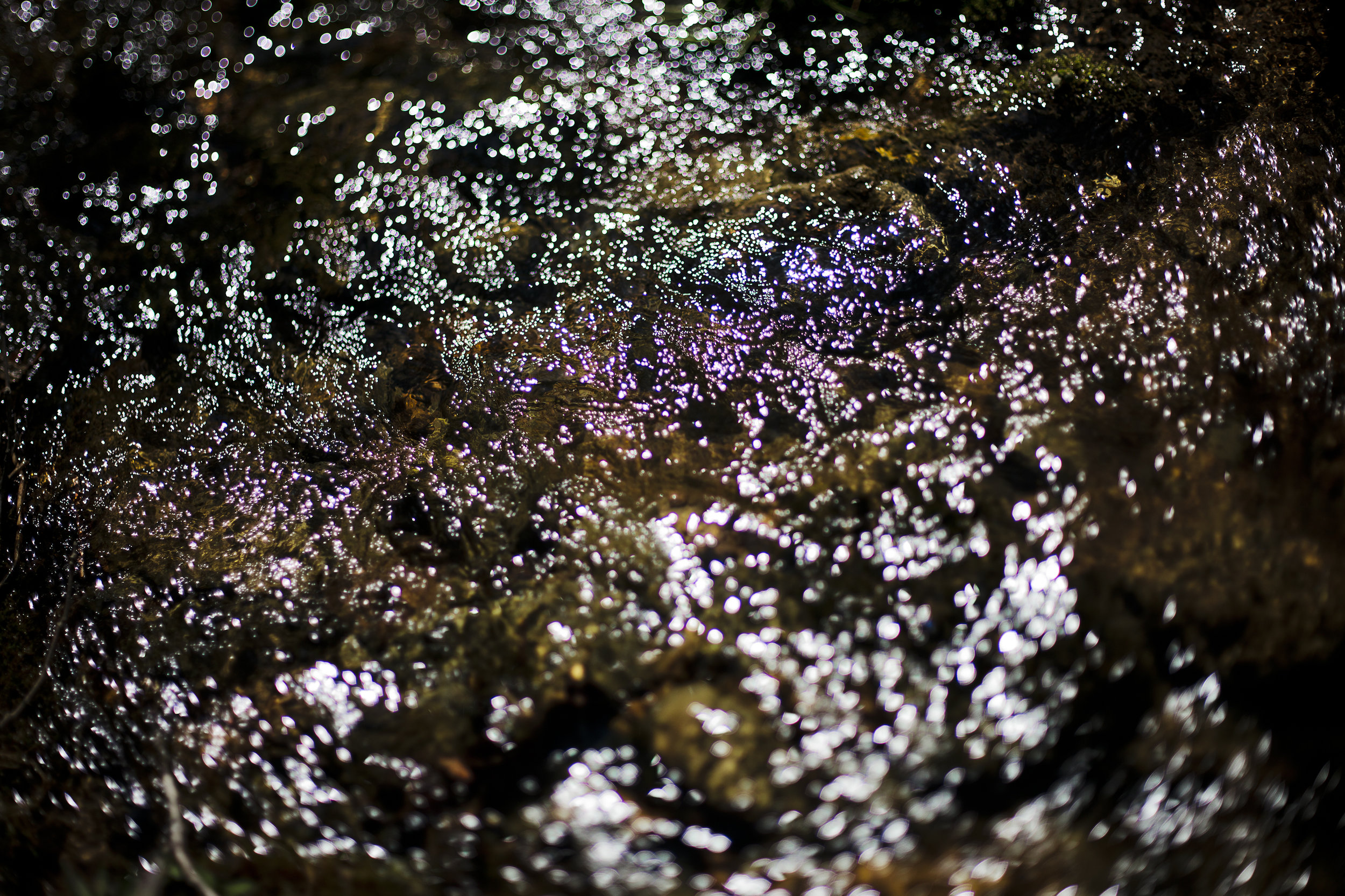 4B5F67C6-0D3B-4906-953C-F7692386021D.jpeg