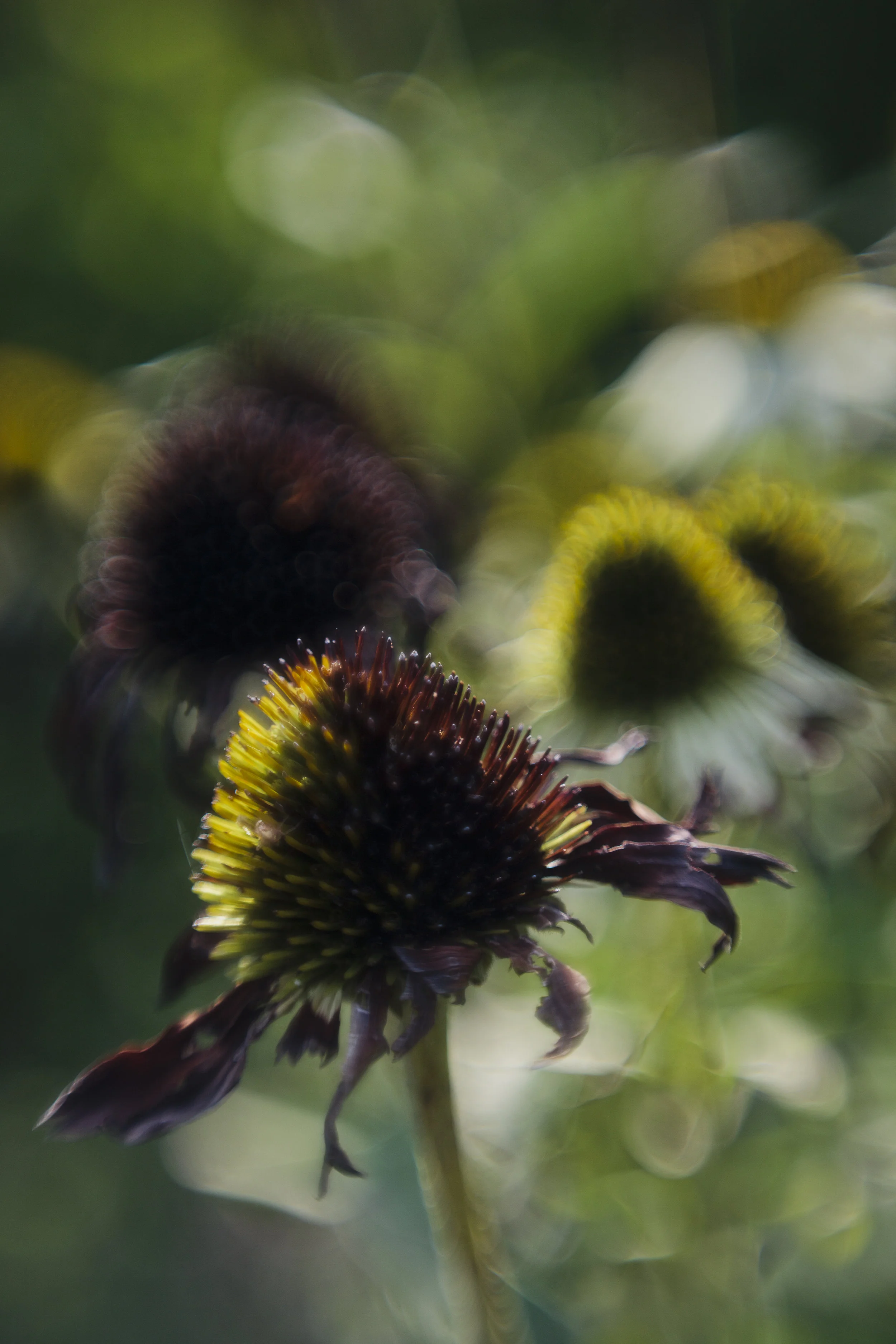 2F85445C-62A6-4FF6-8D00-F9CD025FB028.jpeg