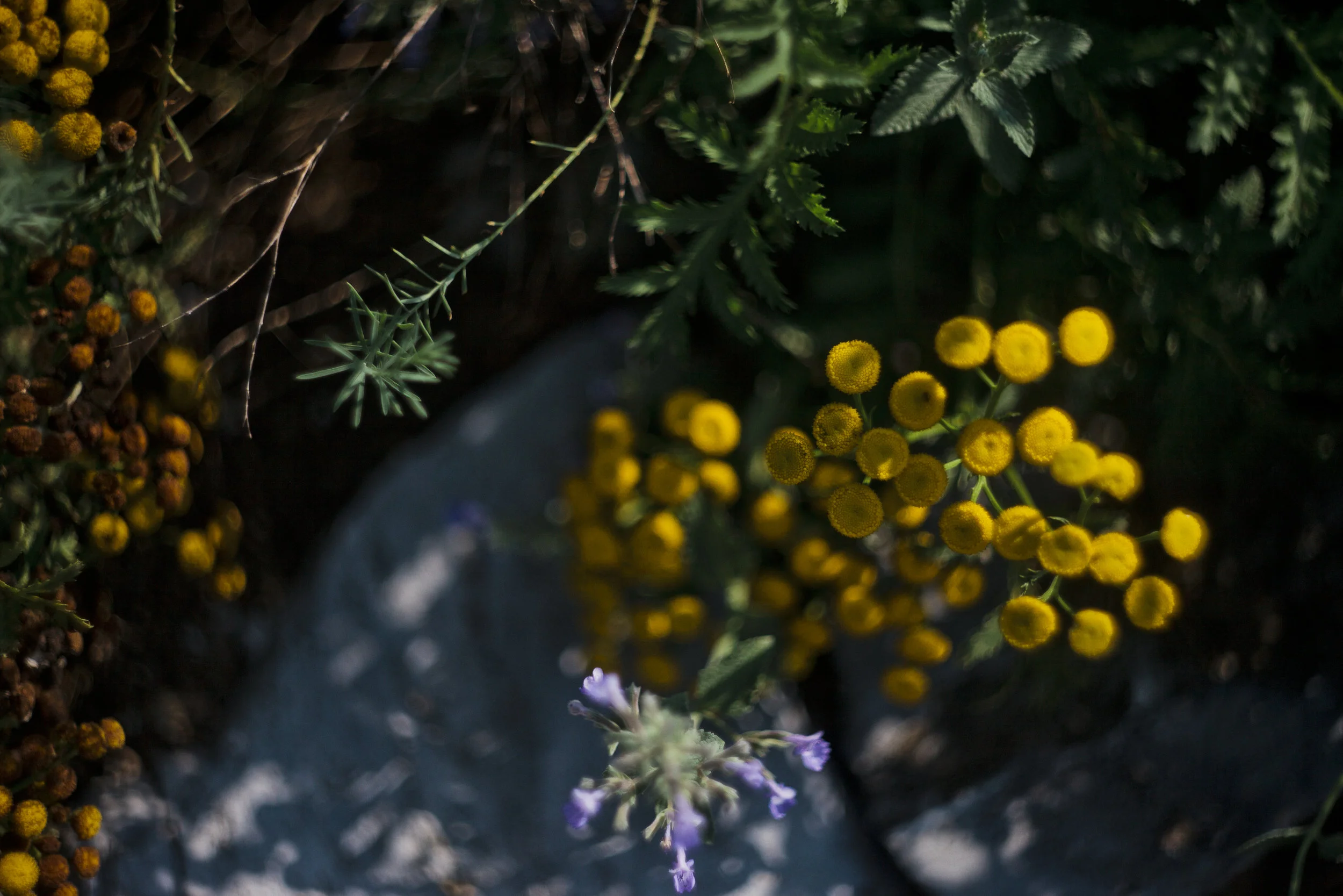 974C47B3-A273-4413-9788-D4AB004F87BC.jpeg
