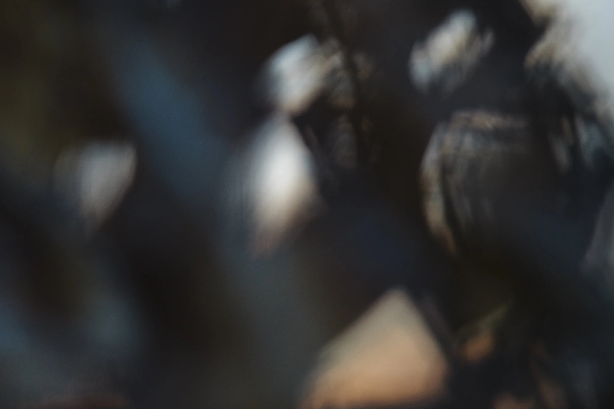 82E9F68E-63E2-44DE-A75F-8D1A3488B3A1.jpeg
