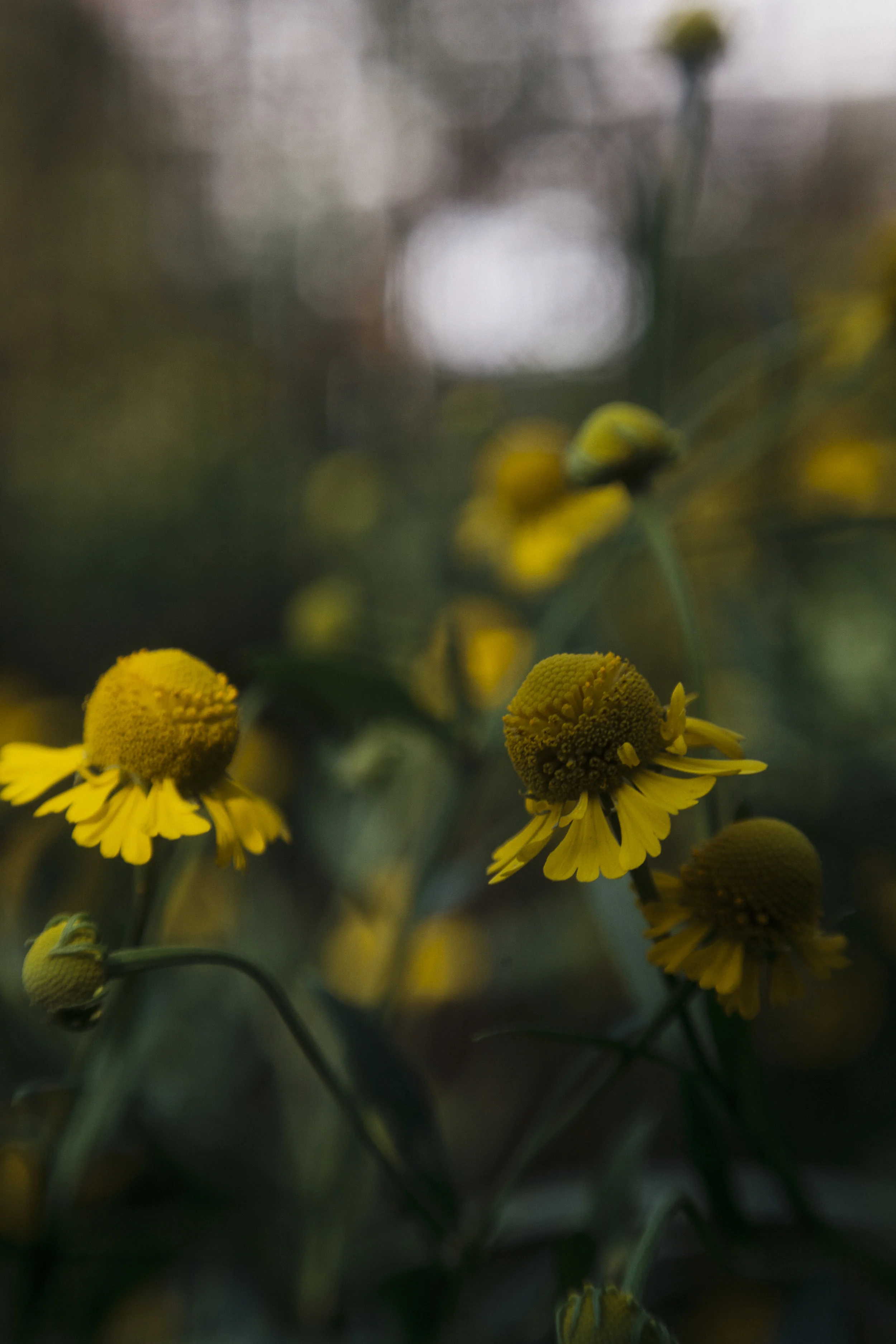 6F681ABE-9BDB-4B81-BB68-C4DBC1DCFAB8.jpeg