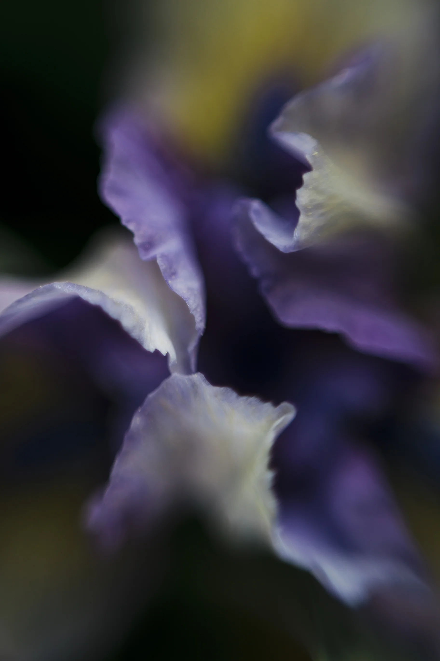 3730C957-0D5C-4259-990E-00481DDB57B2.jpeg