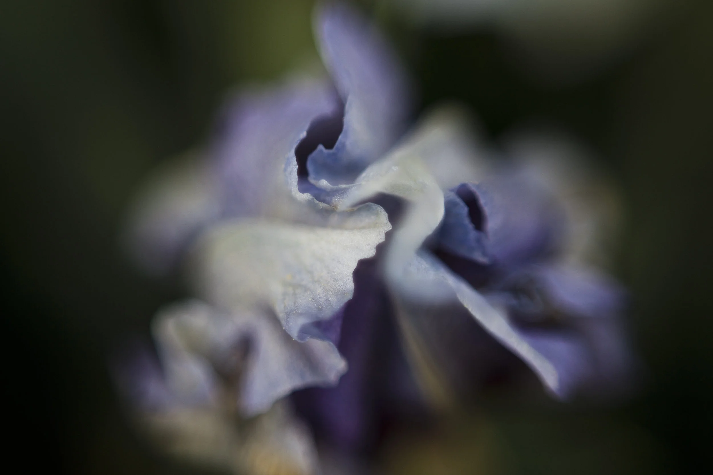 CC97850B-7919-466E-A57B-F43B395D6EF0.jpeg