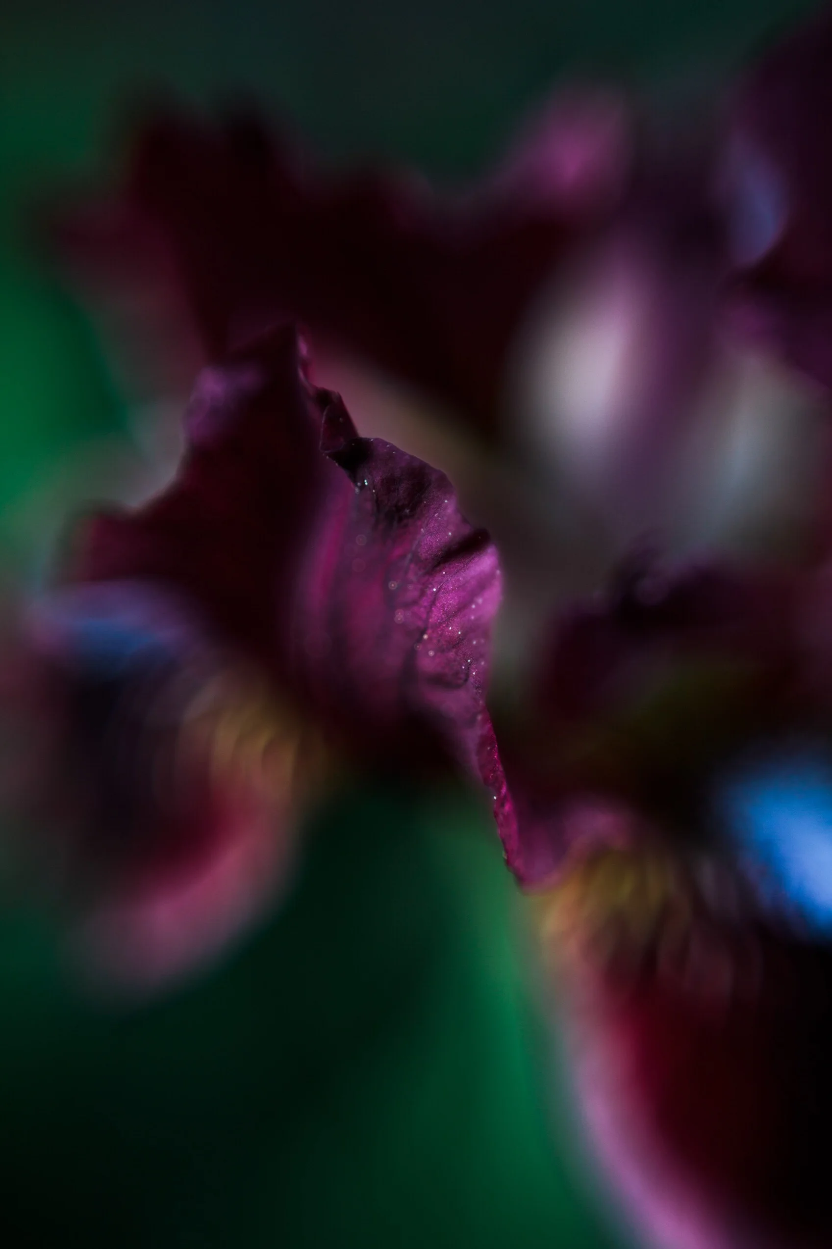 DFABAC84-B3BD-4D76-A7E0-0359E66CF668.jpeg
