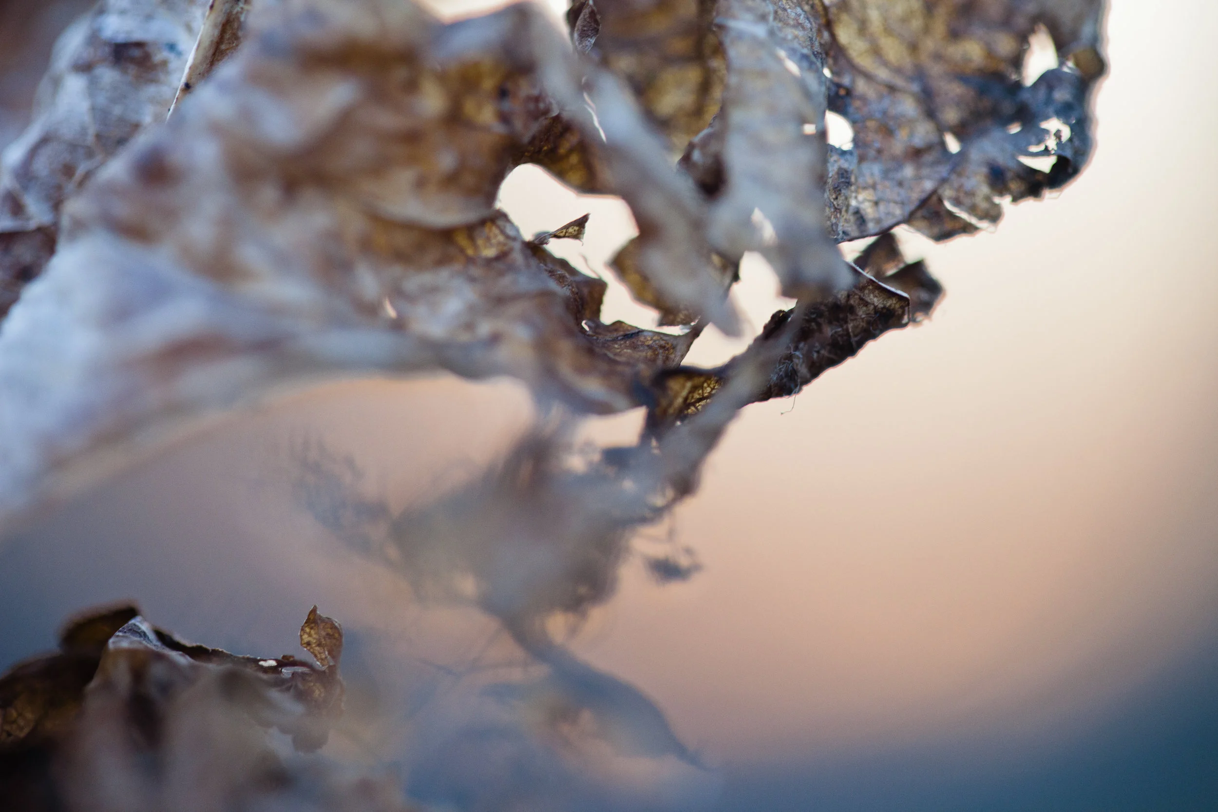 AA7D3777-9A27-477D-A08F-E73B89A94813.jpeg