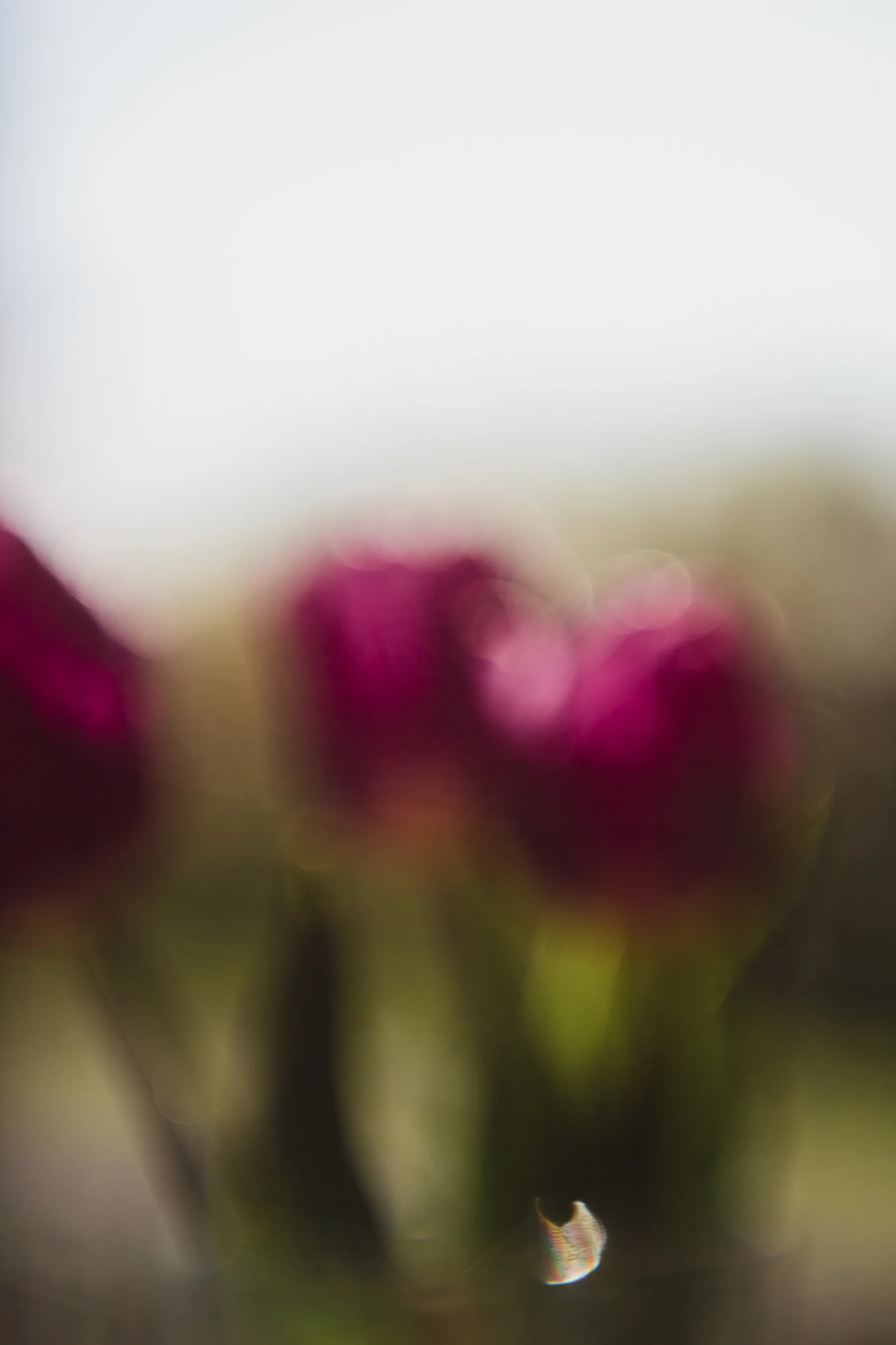 871F6365-9CA0-4F17-A363-4053141A8929.jpeg