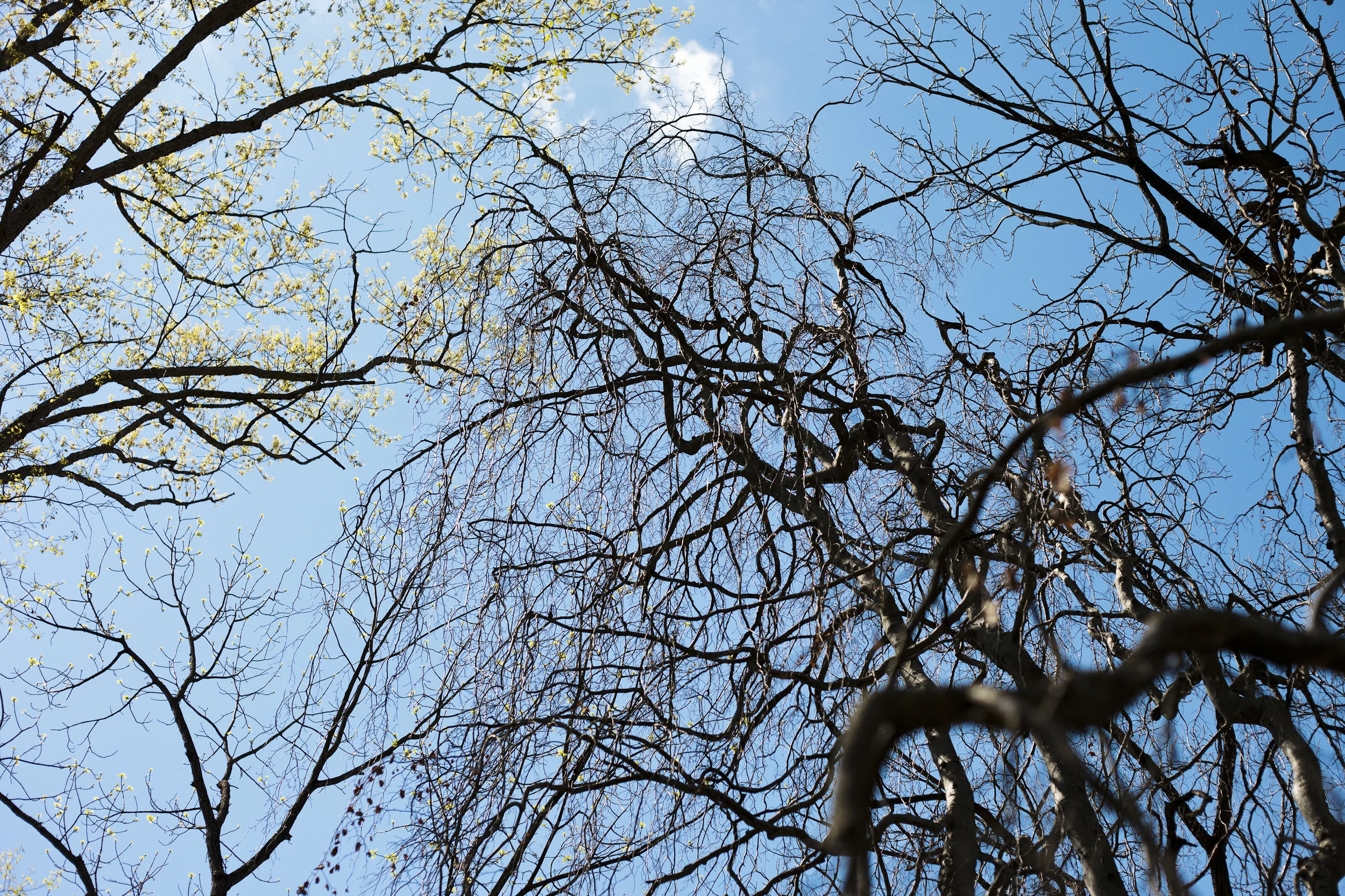 DC46DEE9-7B0D-4F40-B080-3CD03640F967.jpeg