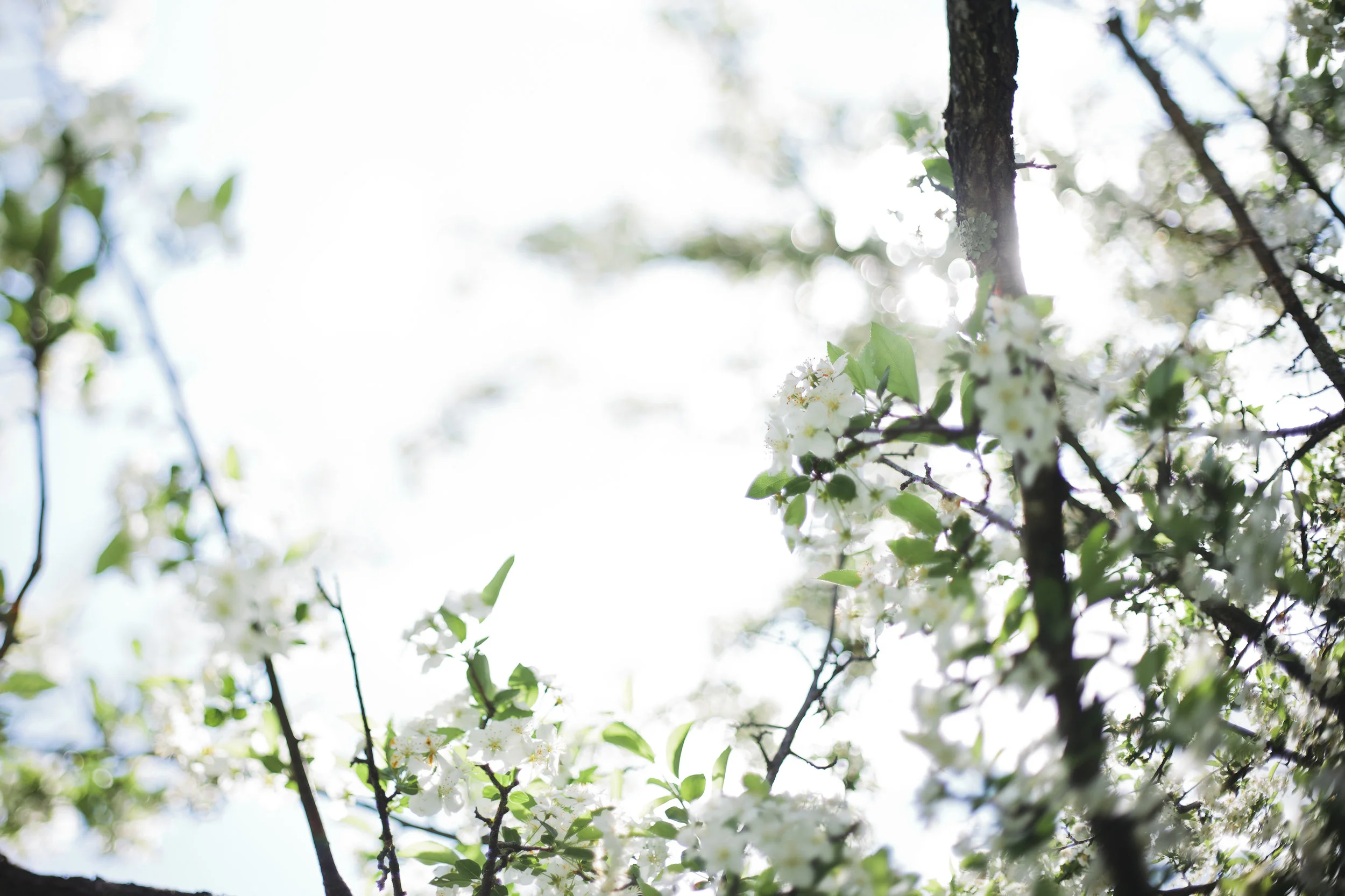 409B7C87-7E28-4793-B612-D333C266A6D2.jpeg