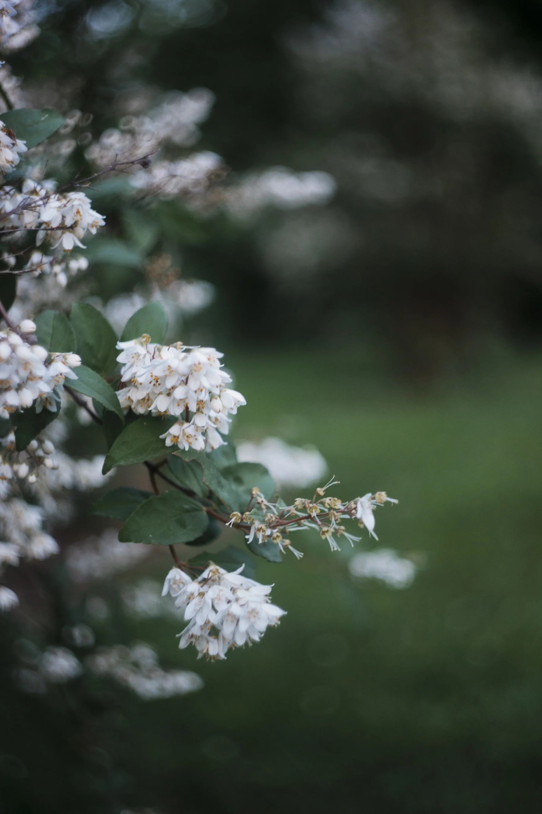 247383C5-010B-45EA-9E69-56CA6E6CC775.jpeg