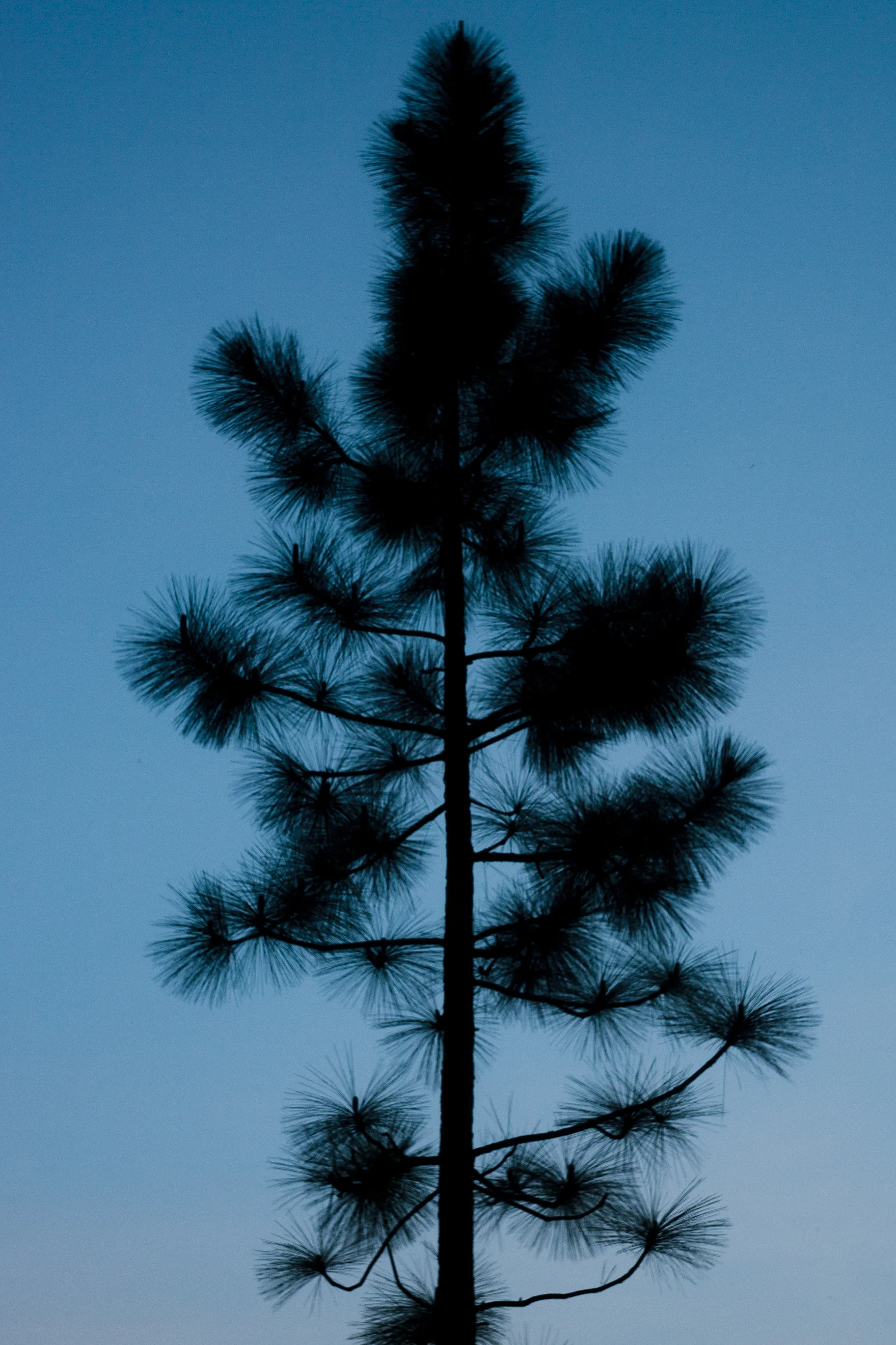 8E3EDCCA-D633-4A0A-8EC0-A5026B6A7319.jpeg