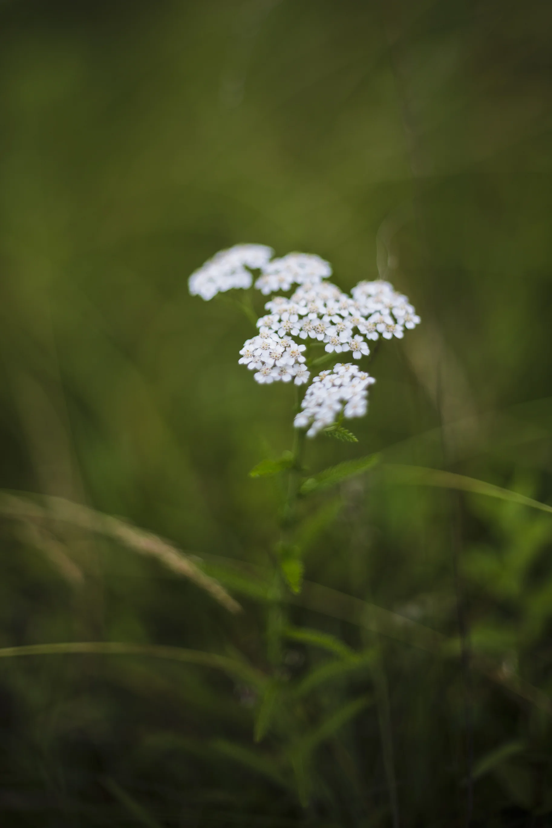 17C7AC3A-2795-4F42-975C-89F6950ED712.jpeg