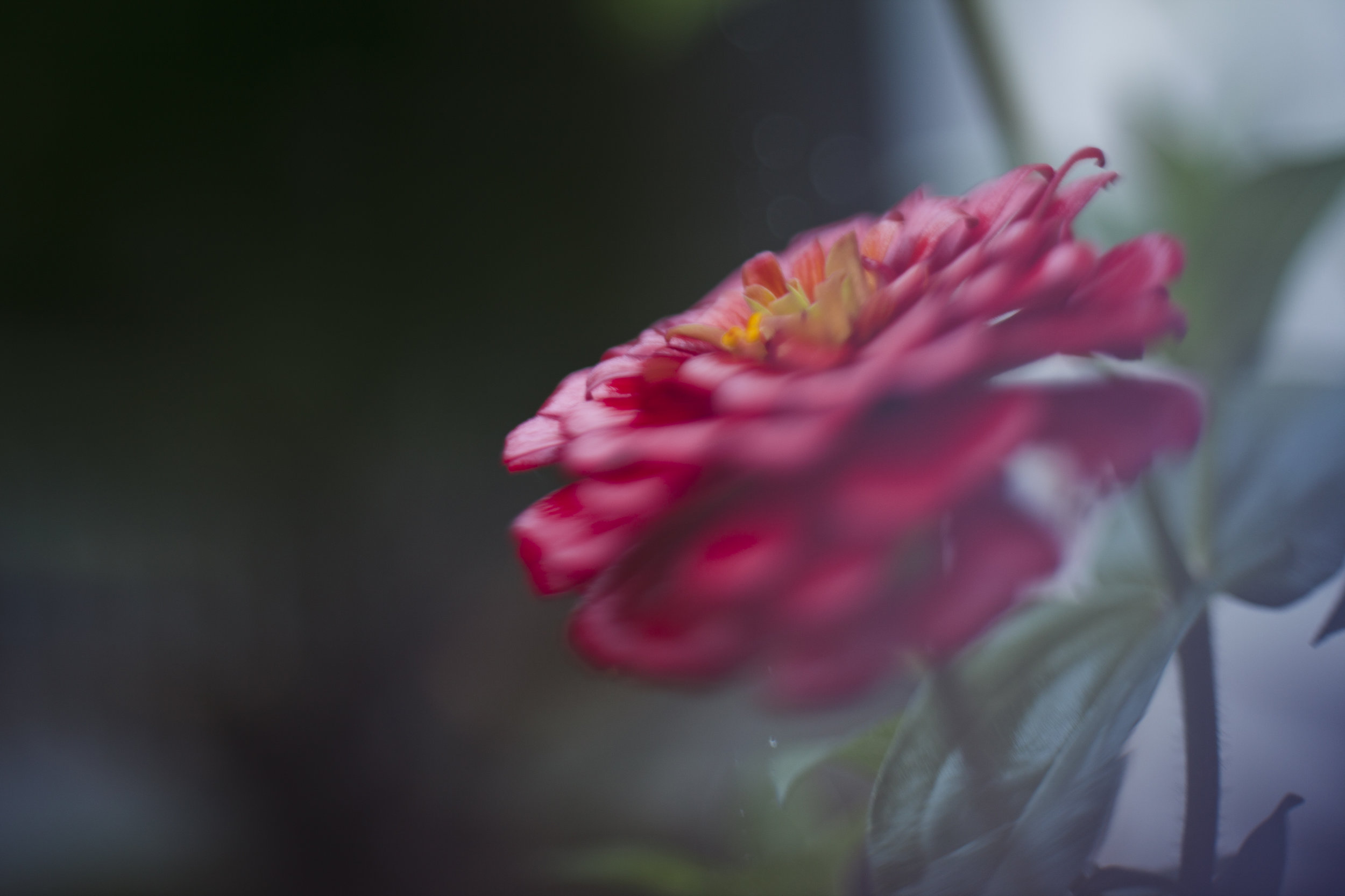 C48A1324-A082-4C8C-9B89-53E2C4D700B6.jpeg