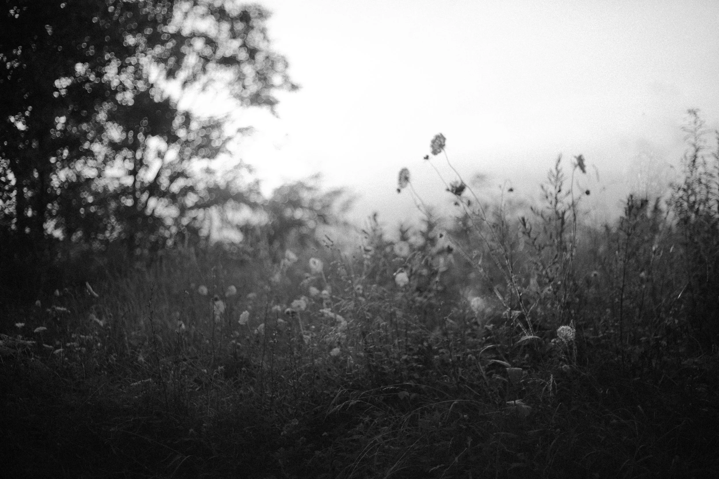 1897D94A-5975-45A5-BEE2-971E40A167B3.jpeg