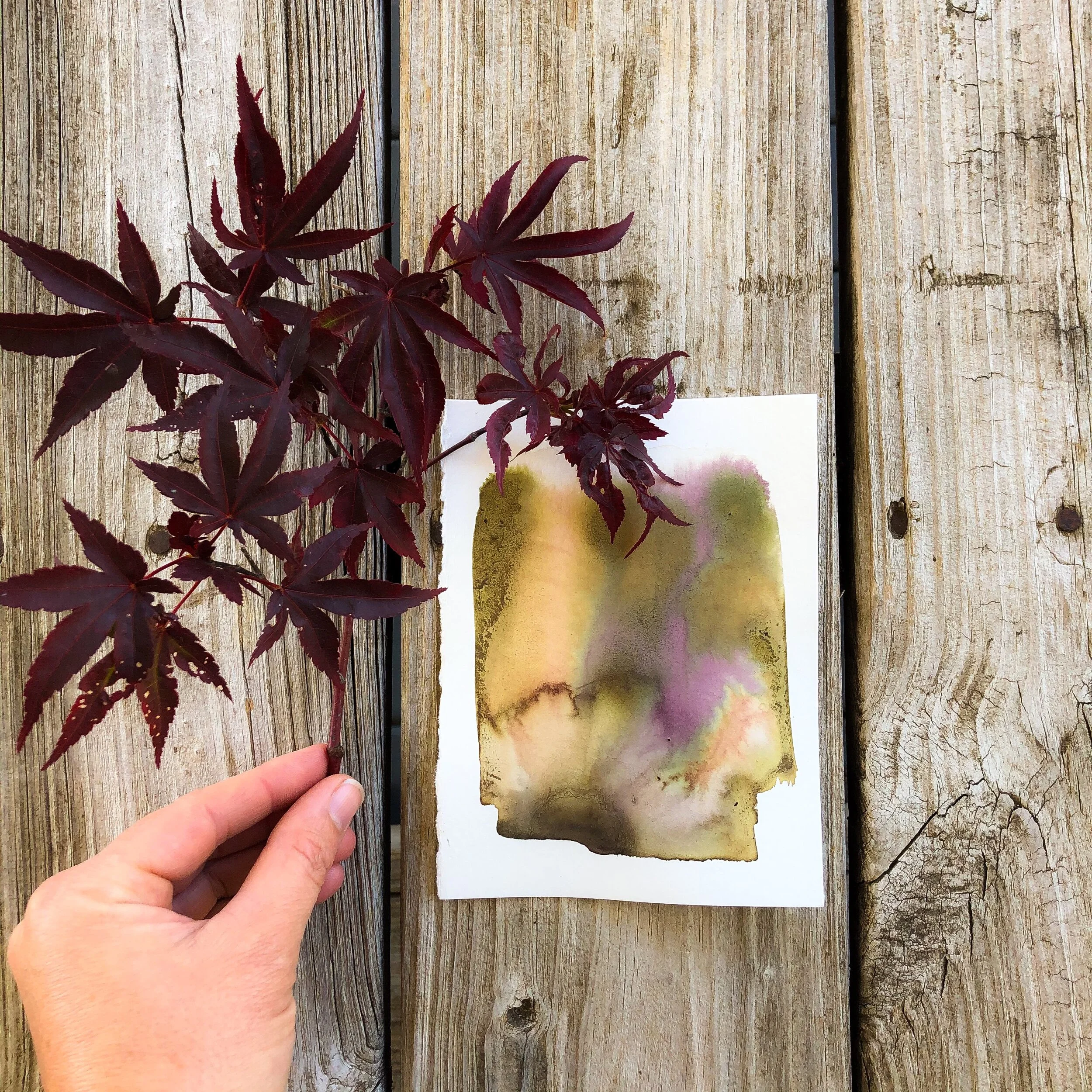 Another breadcrumb - Natural Ink