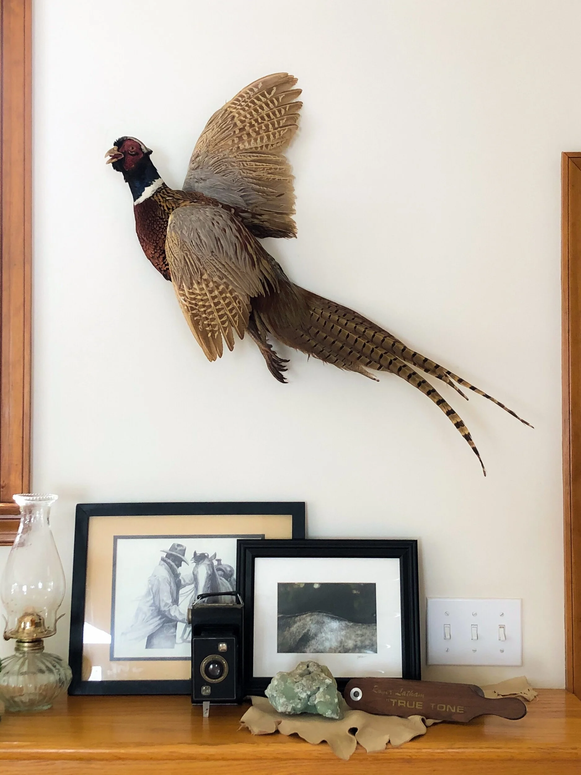 CEC52BA2-4615-4CCE-B3D3-3BF025C34824