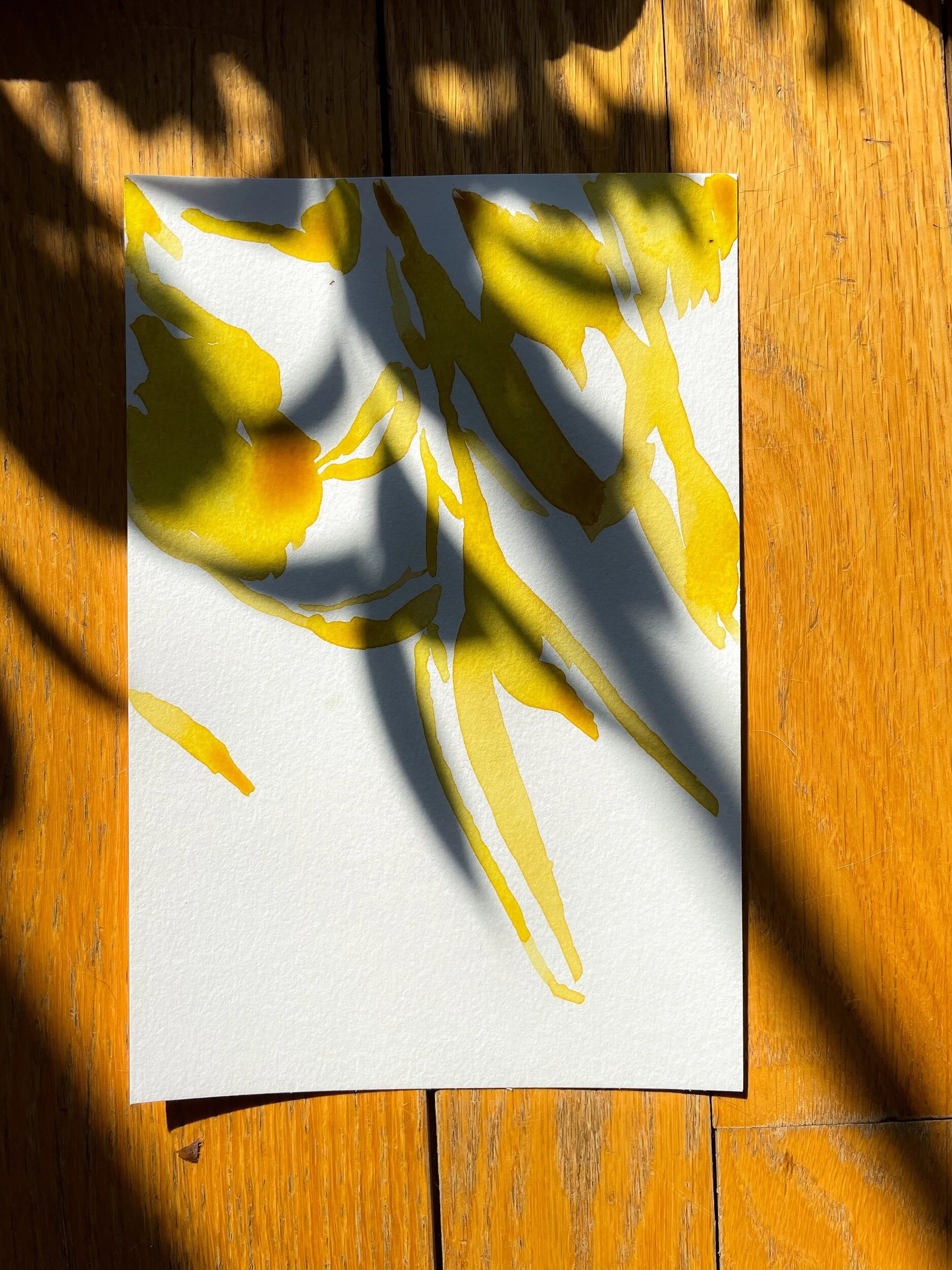 Shadow Painting