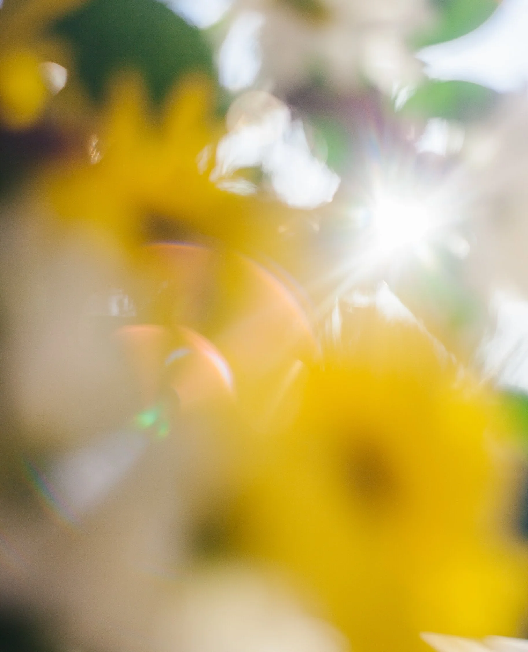 What Do You Wish to Create?