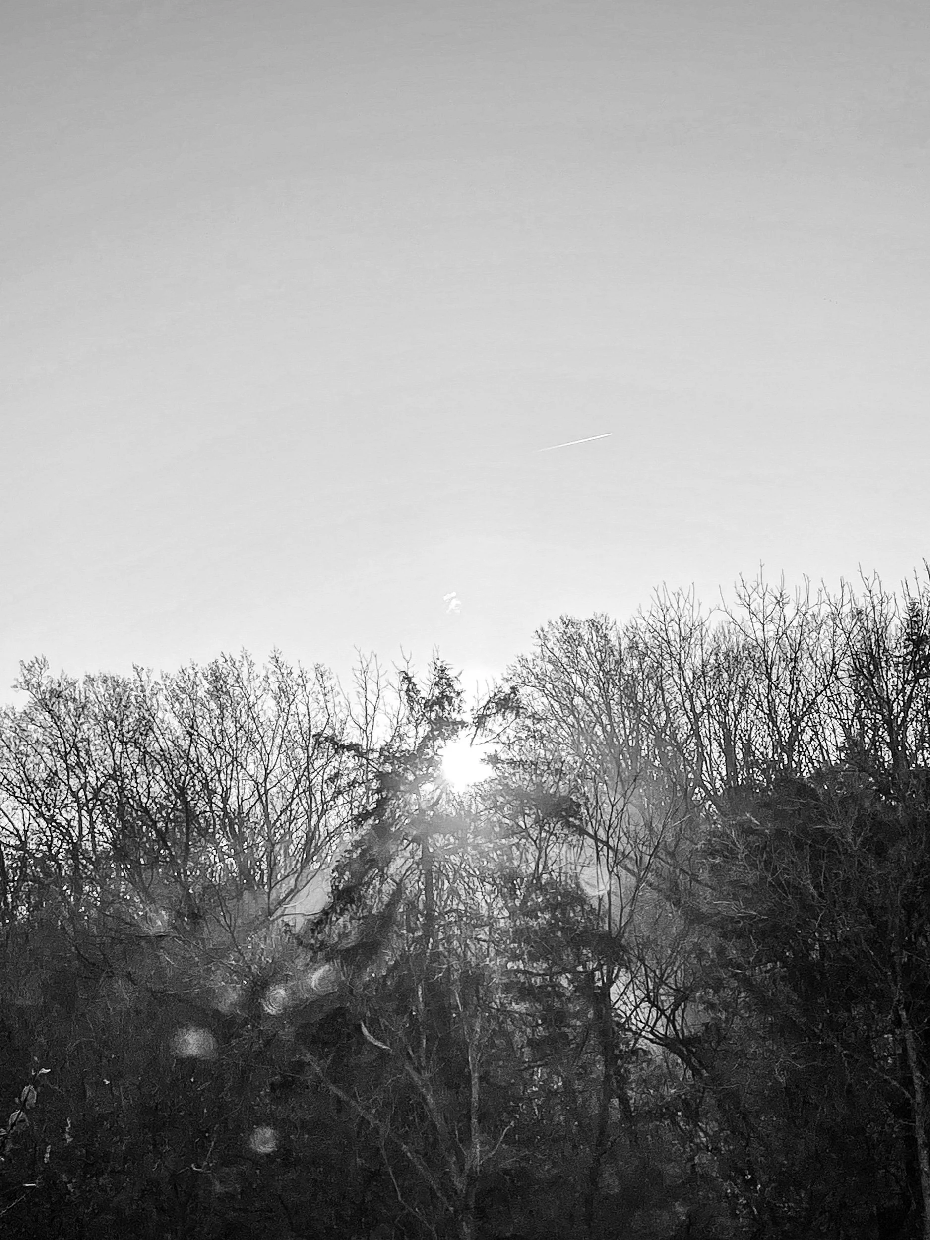 Defining Creative ‘Success’