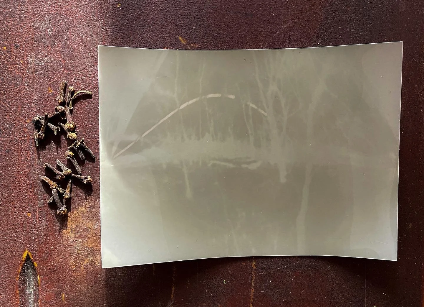 Eco Developer / Cloves