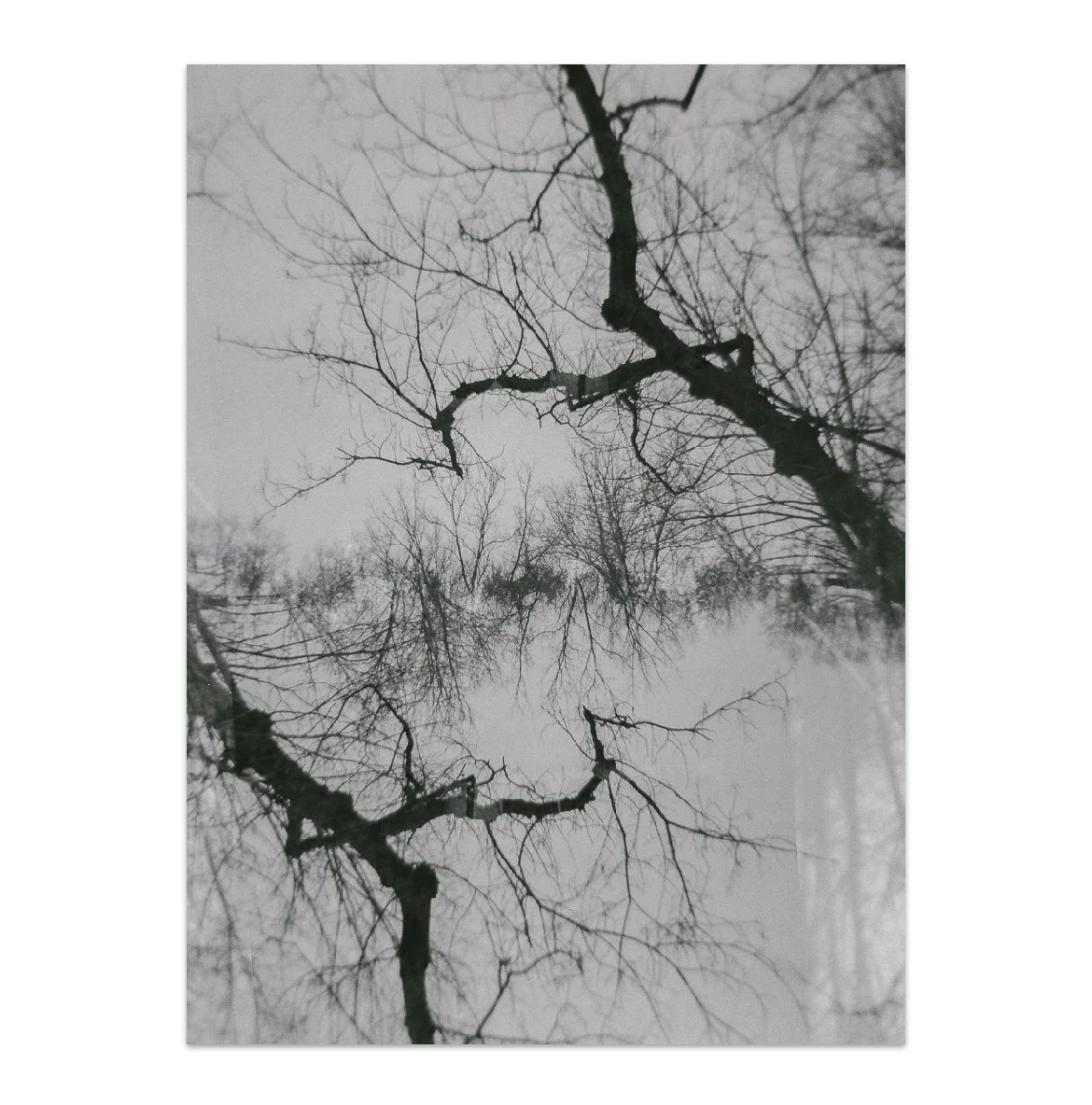 Photography as a Connection Practice