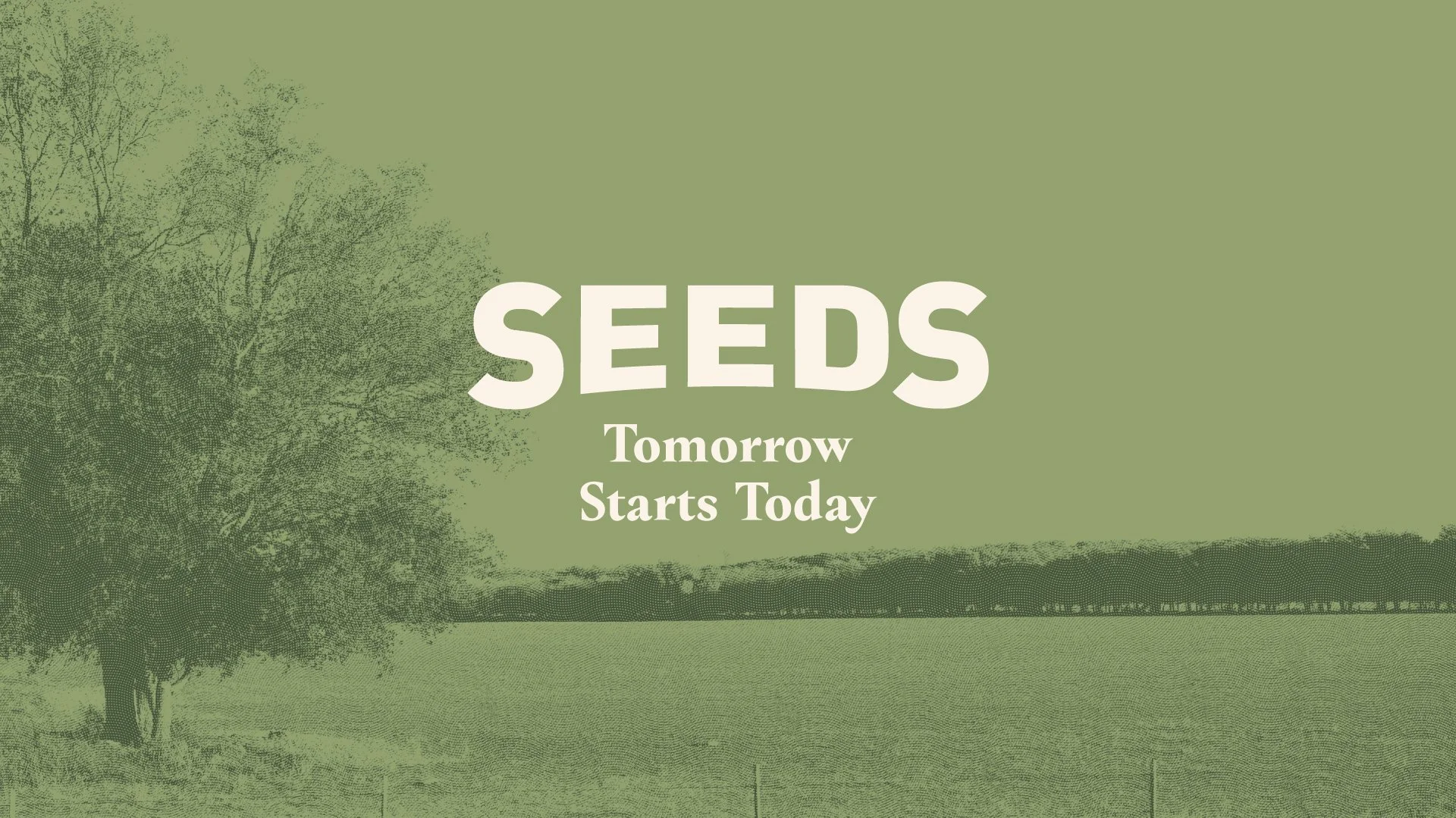 SEEDS - Legacy - 10.30.22