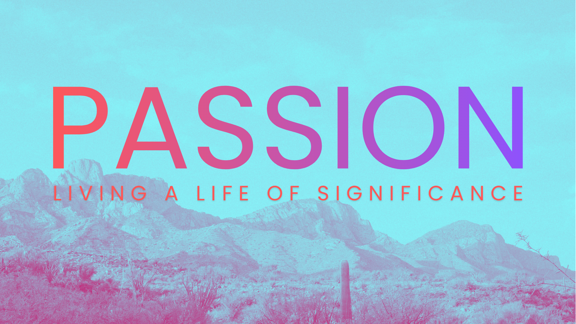 PASSION - Shared Passion - 02.08.26