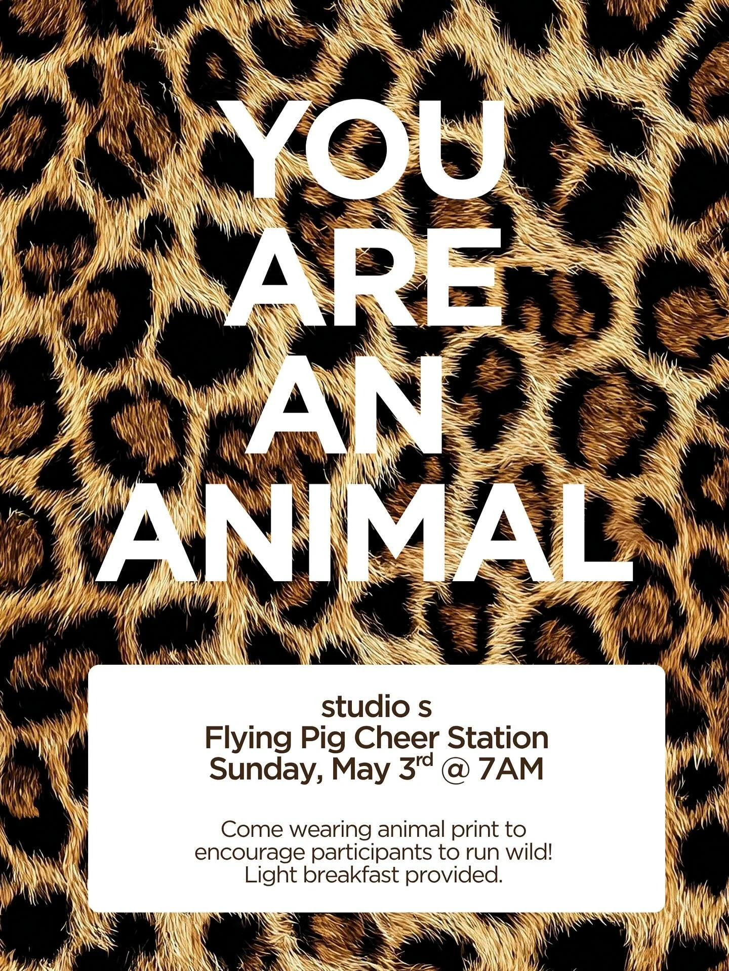 Meet us on the course&mdash;here at studio s! 

Support your @runflyingpig runners &amp; walkers conquering 13.1 &amp; 26.2 miles. Both races pass right in front of the studio. They&rsquo;ll bring the miles, we&rsquo;ll bring the noise. 

Animal prin