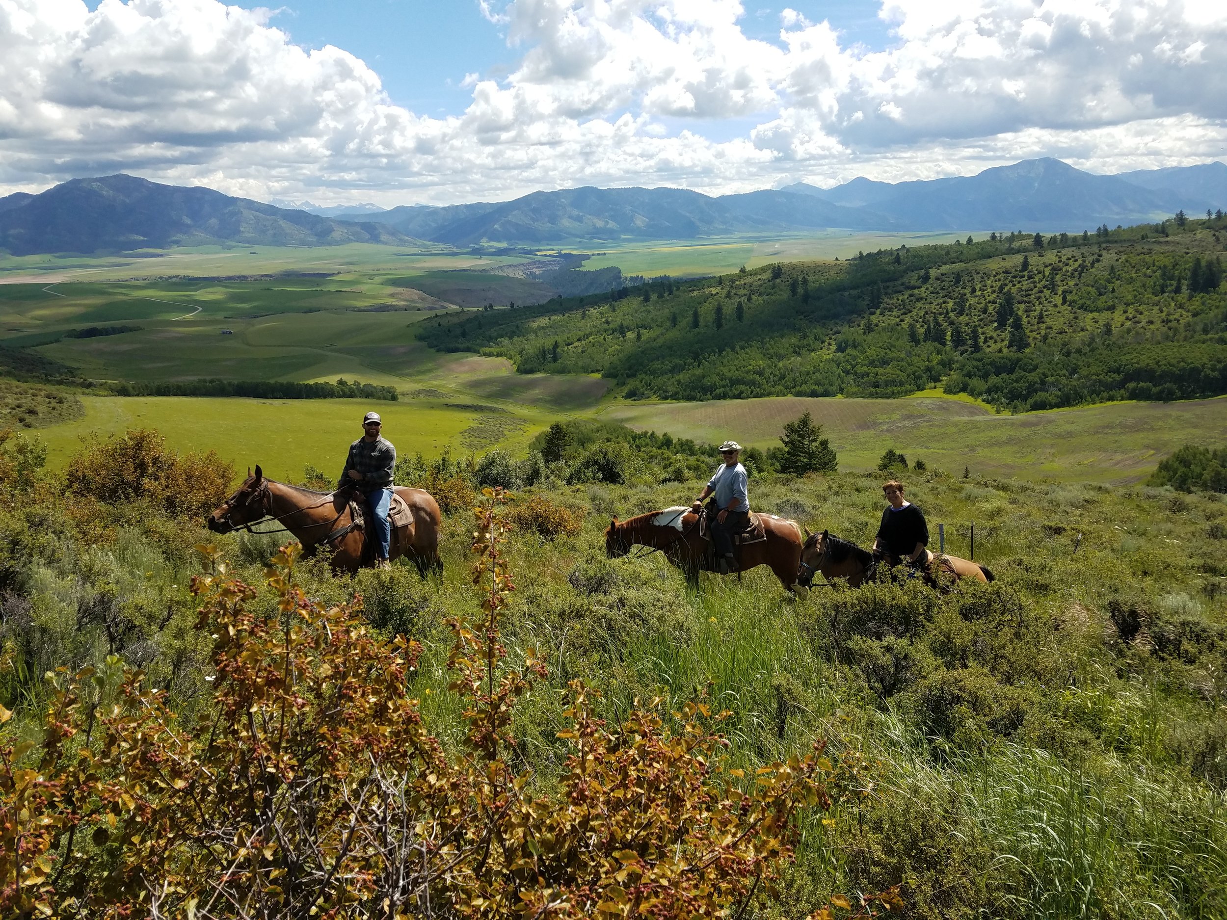 Horseback Trail Rides — Granite Creek Ranch