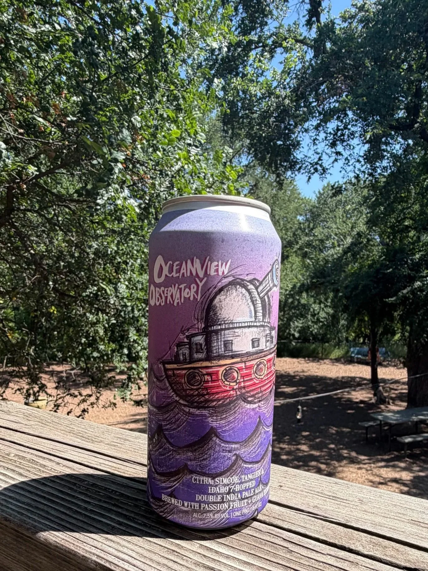 Ocean View Observatory from Hop Butcher For The World