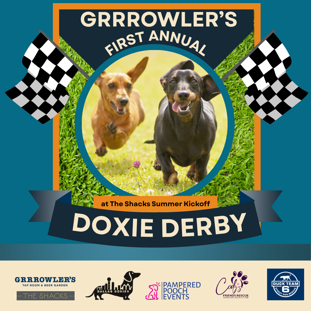 Doxie Derby Derby Landing Page 1080 x 1080 px).png