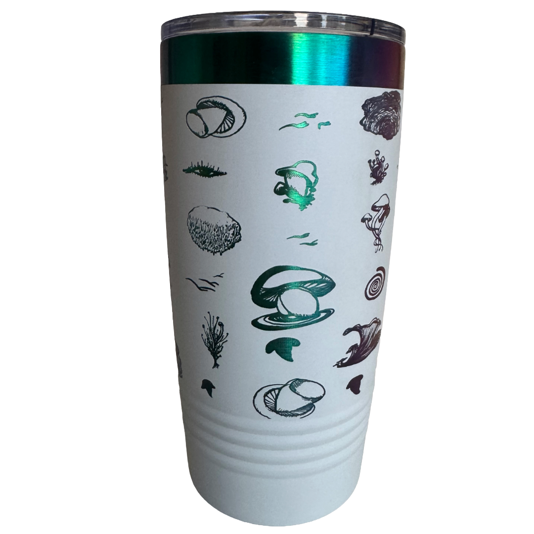 Remove background project - 2026-01-31T091551.129.png