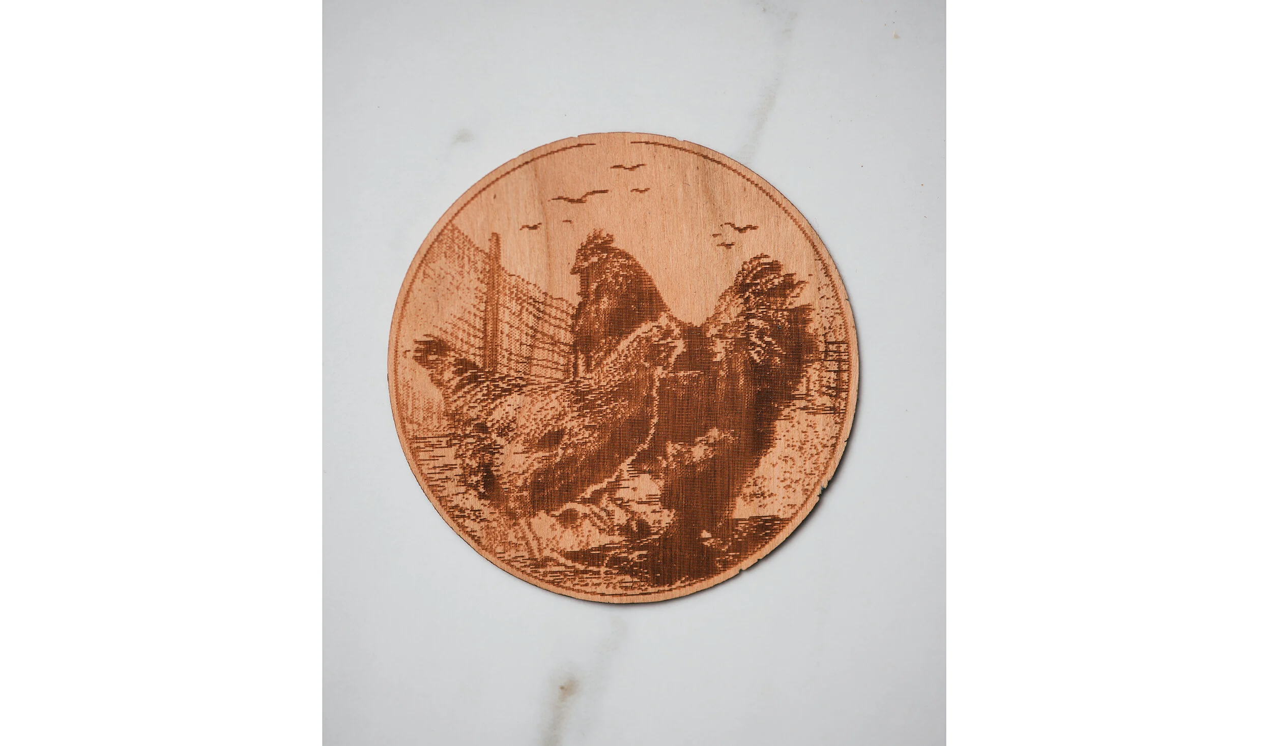Coop Wooden Sticker