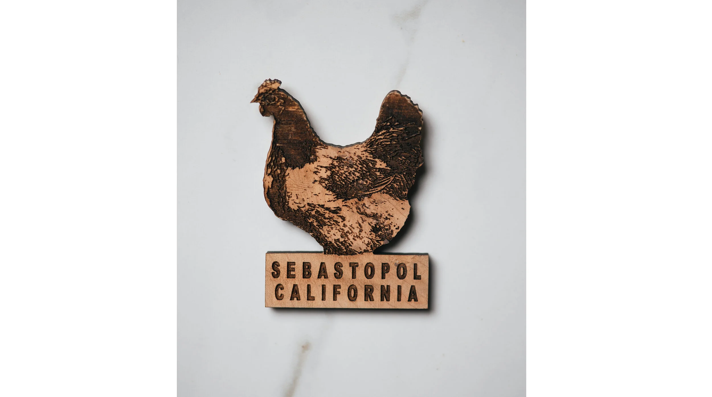 Sebastopol Chicken Magnet