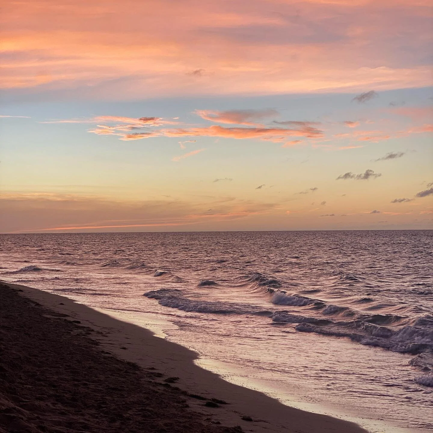 Vitamin Sea plans for the weekend ☀️ 
Happy 4th of July! ✨ 

#loizastreetstation #calleloiza #officespace #leasing