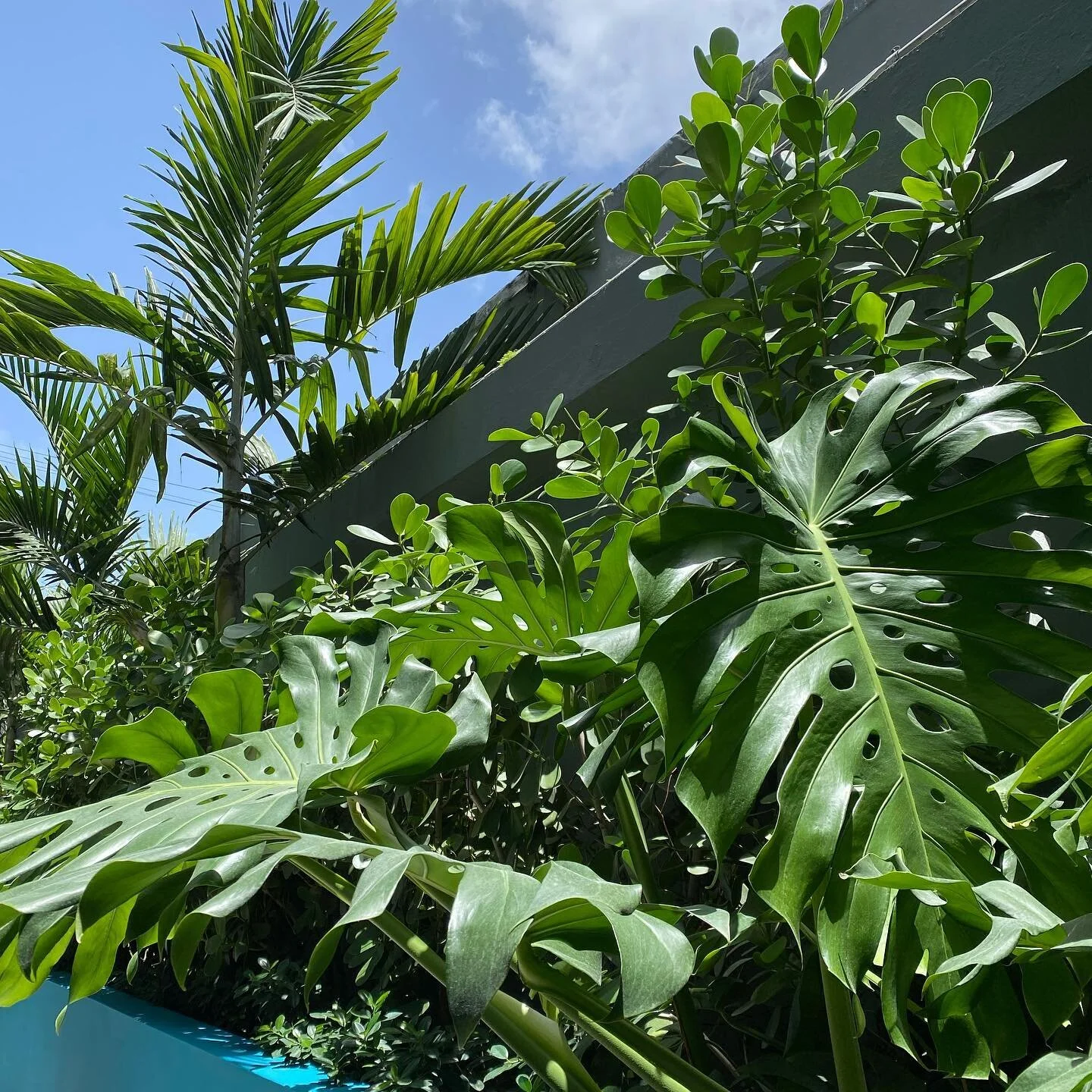 Just another day in paradise 🍃 

#loizastreetstation #officespace #commercialspace #leasing