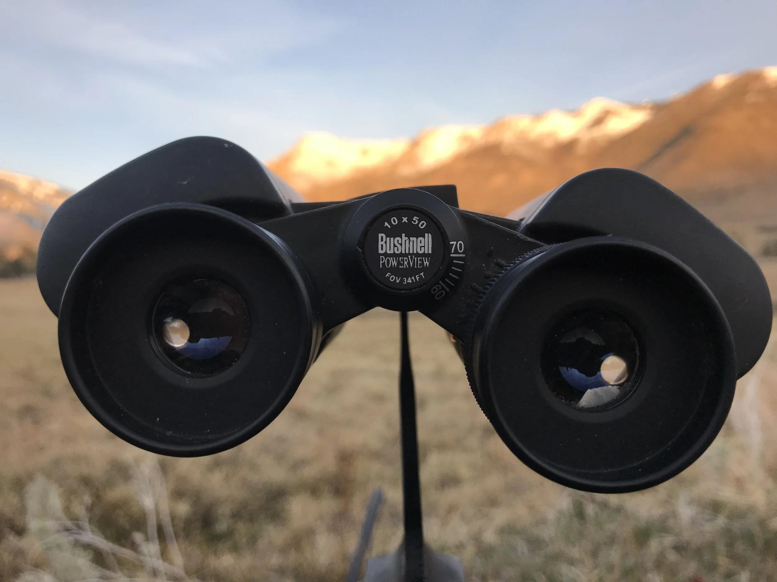 10x50 binoculars bushnell