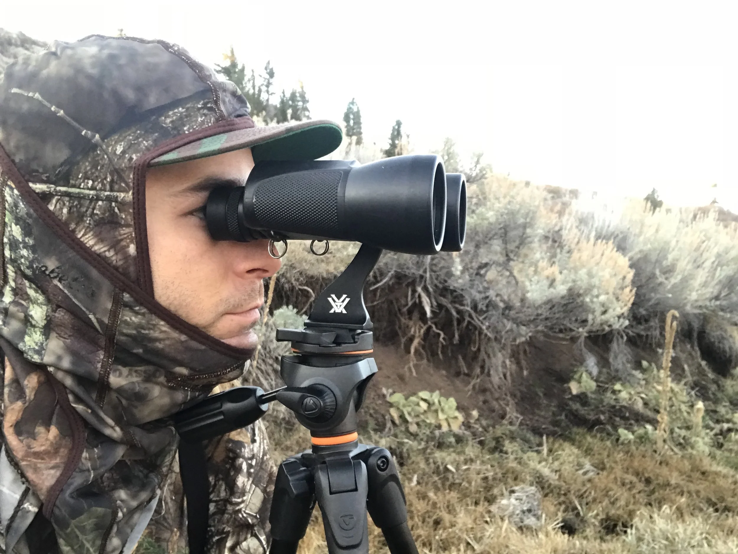 bushnell powerview 10x50