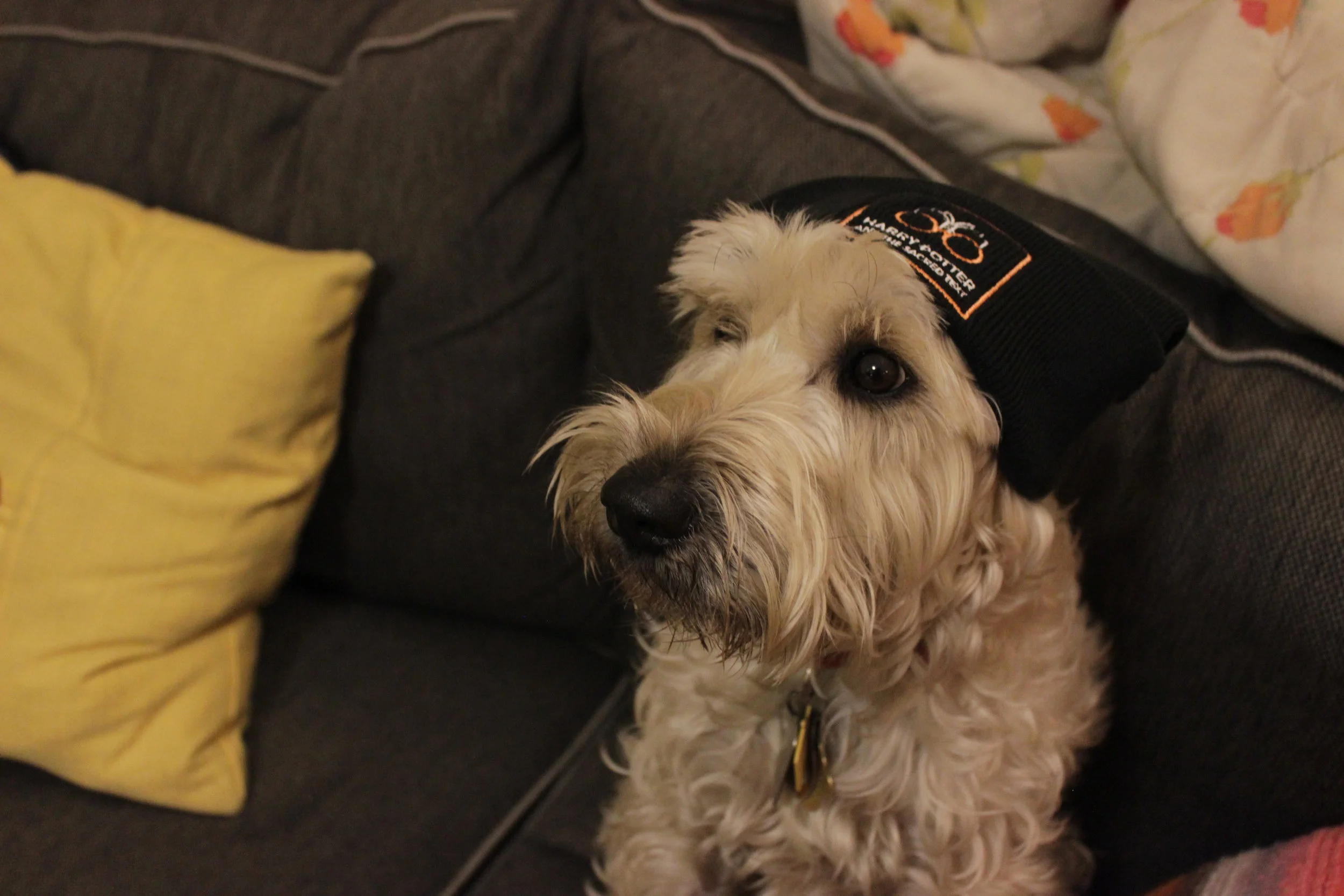Rory in Hat.JPG