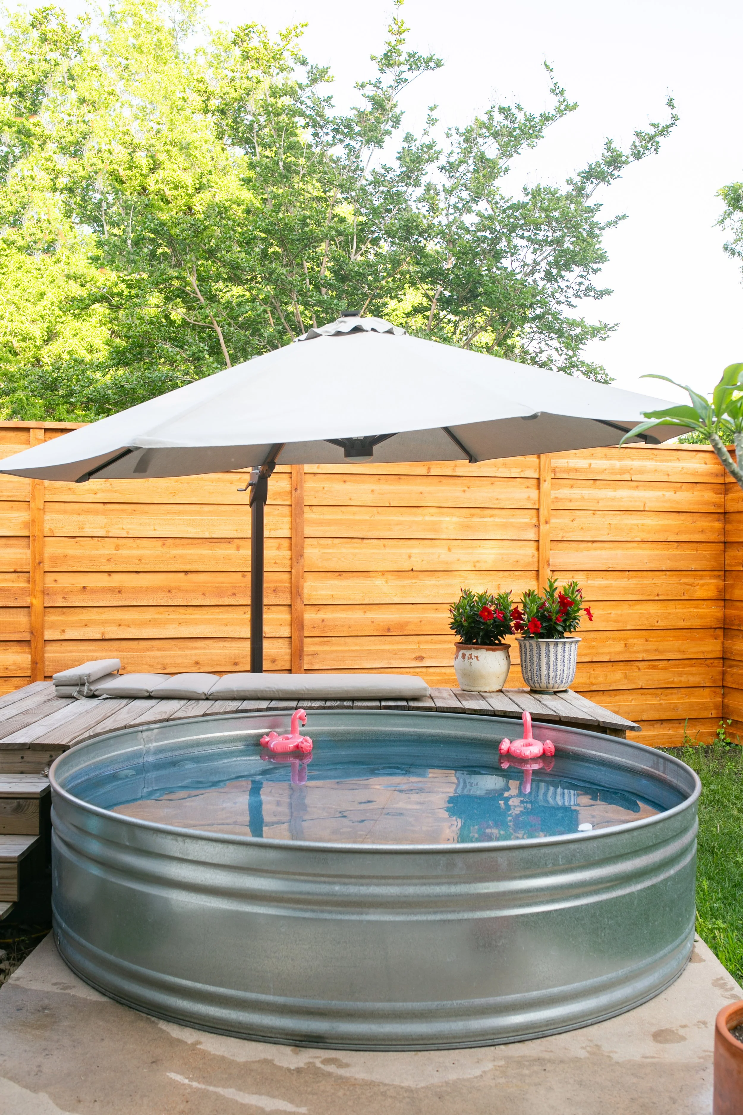 STP new fence_001.jpg