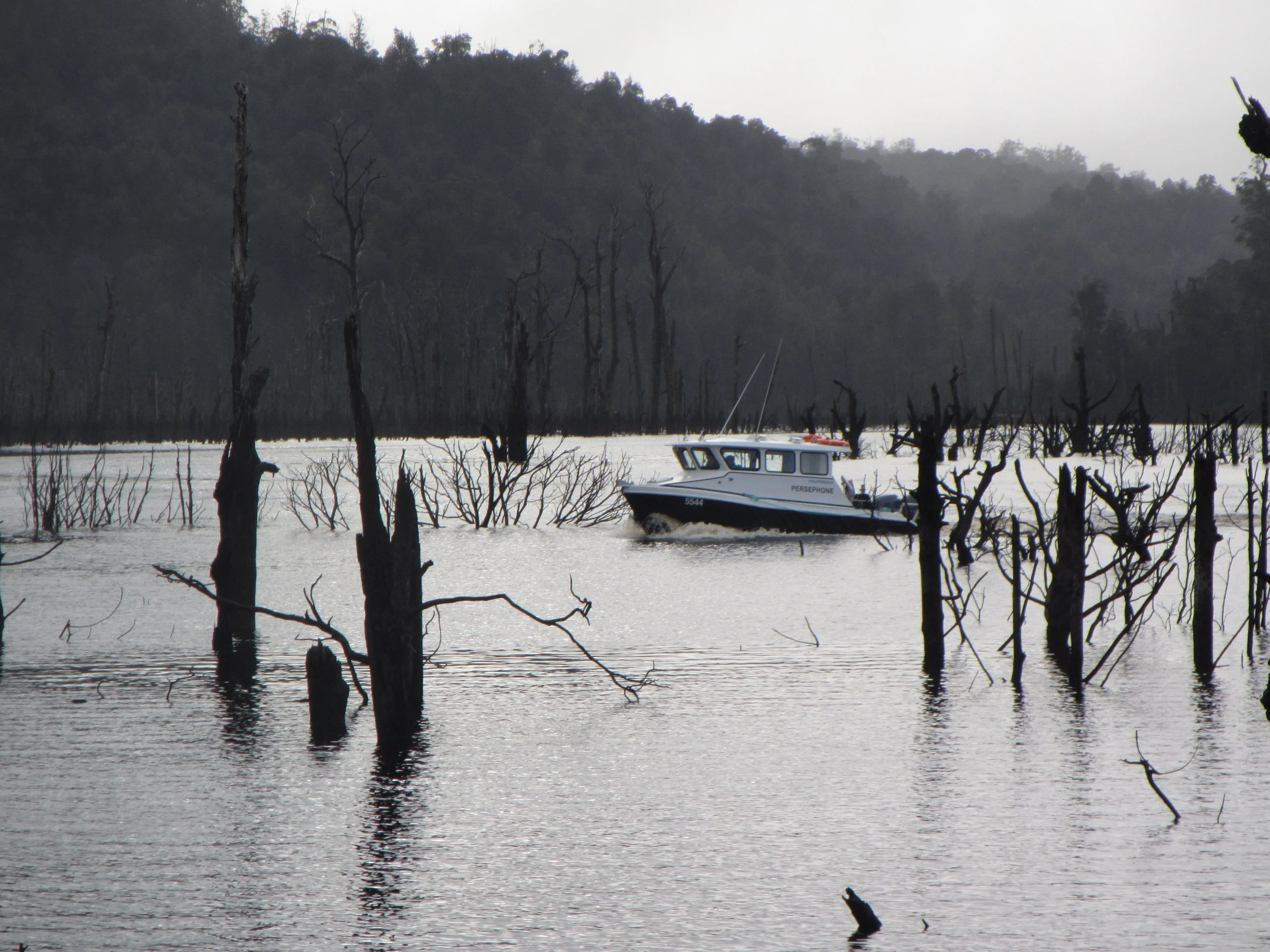 Media Release - The search for underwater timber on Tasmania's West Coast drives innovation in local design and manufacturing