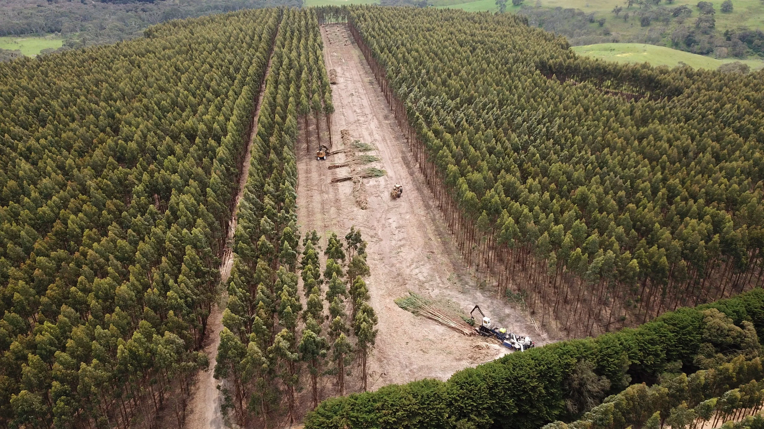 Commencement of harvesting in the Green Triangle