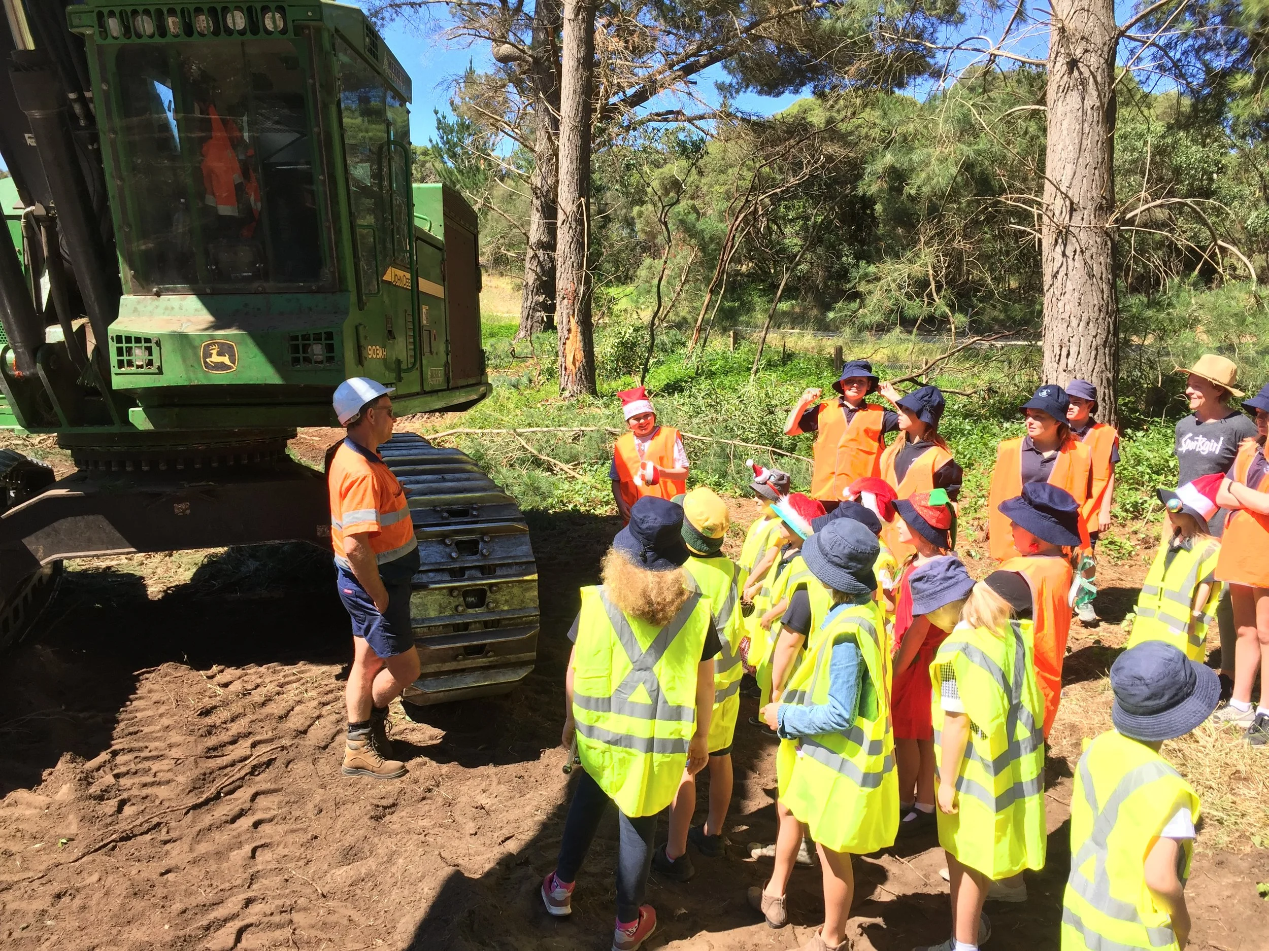 Rendelsham Primary Pine 