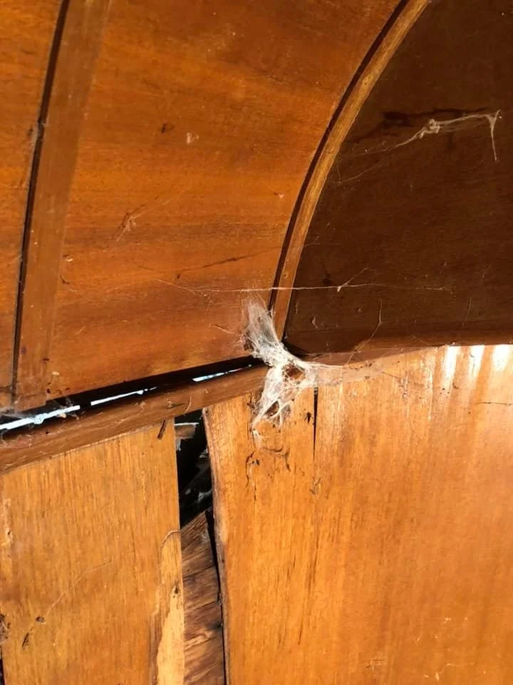 The beginning of a restoration is always a little dirty