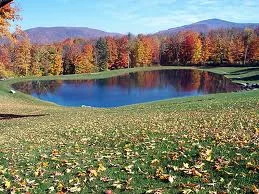 A chic Vermont "pool". Leeches.