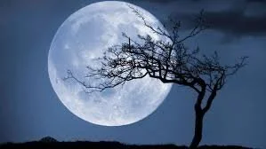 Full Moon Esbat Ritual on Zoom - FULLY BOOKED
