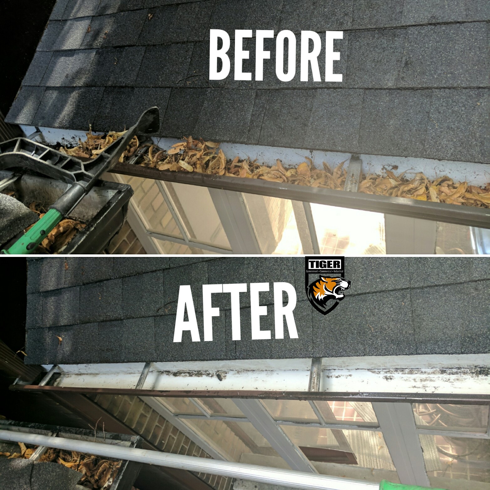 Tiger Building Services Where We Work Toronto Window Cleaning Condo Balcony Window Clean Toronto Window Cleaning Power Washing