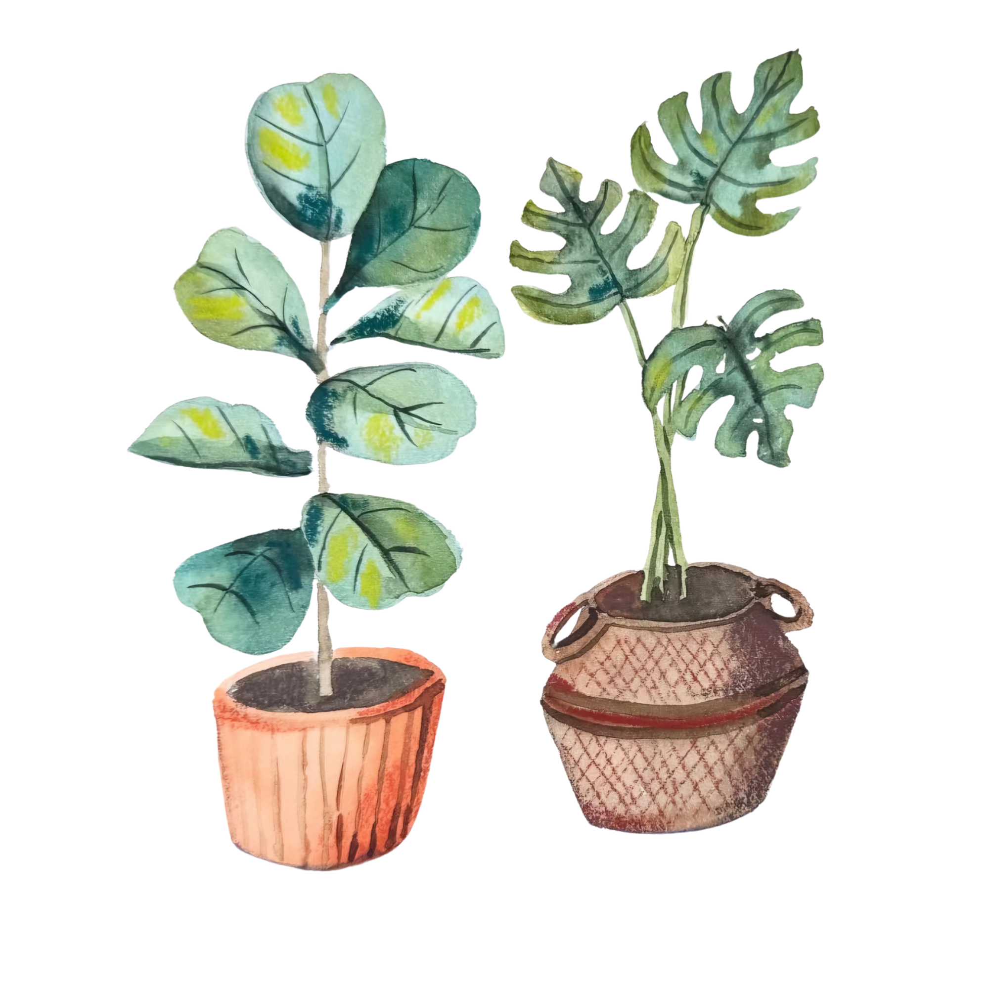 potted plants.png