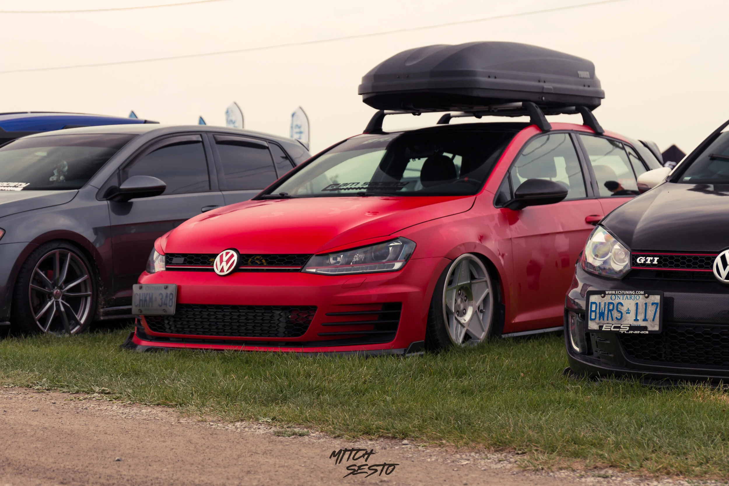 IMG_7286.jpg