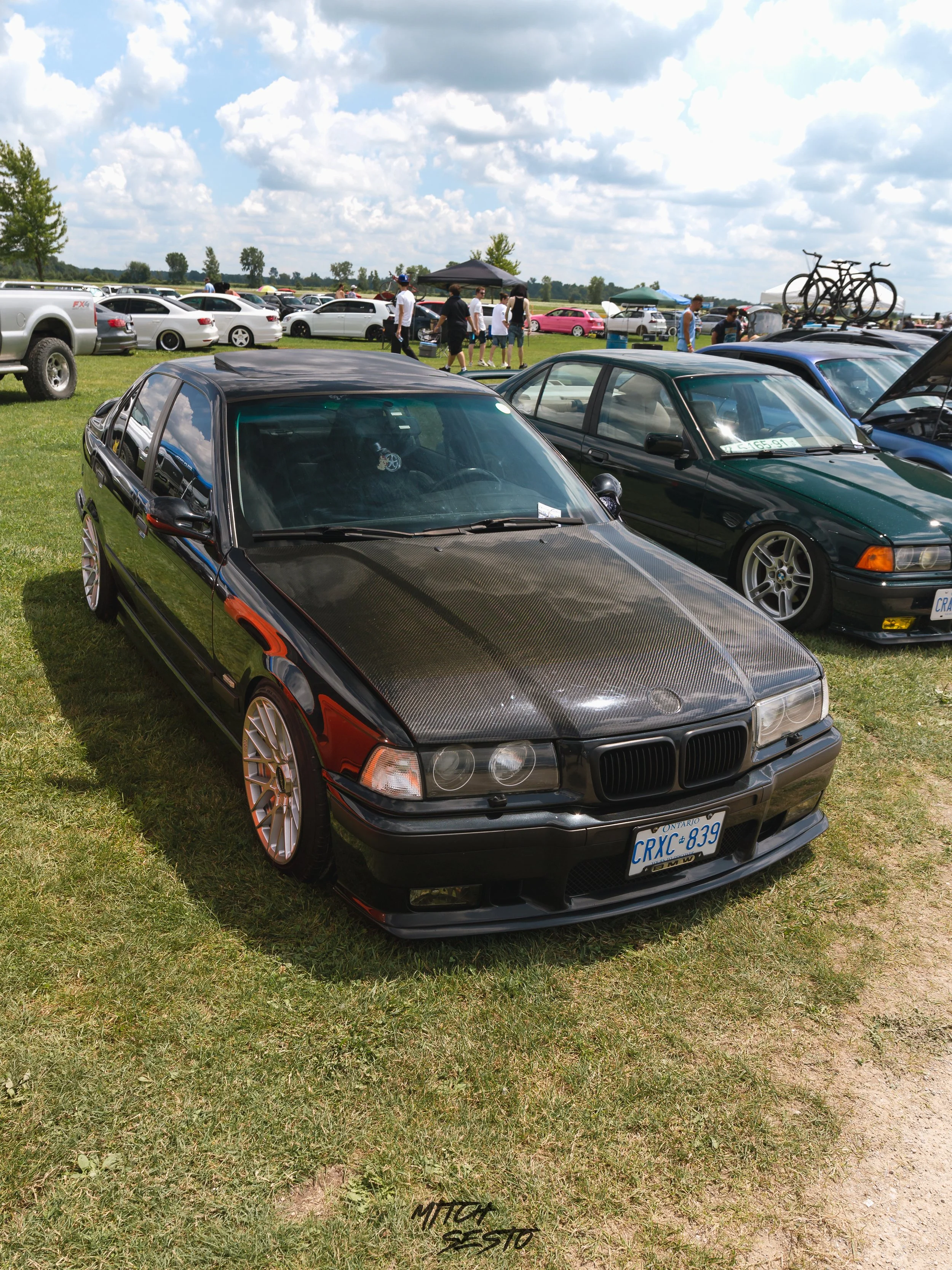 IMG_4733.jpg